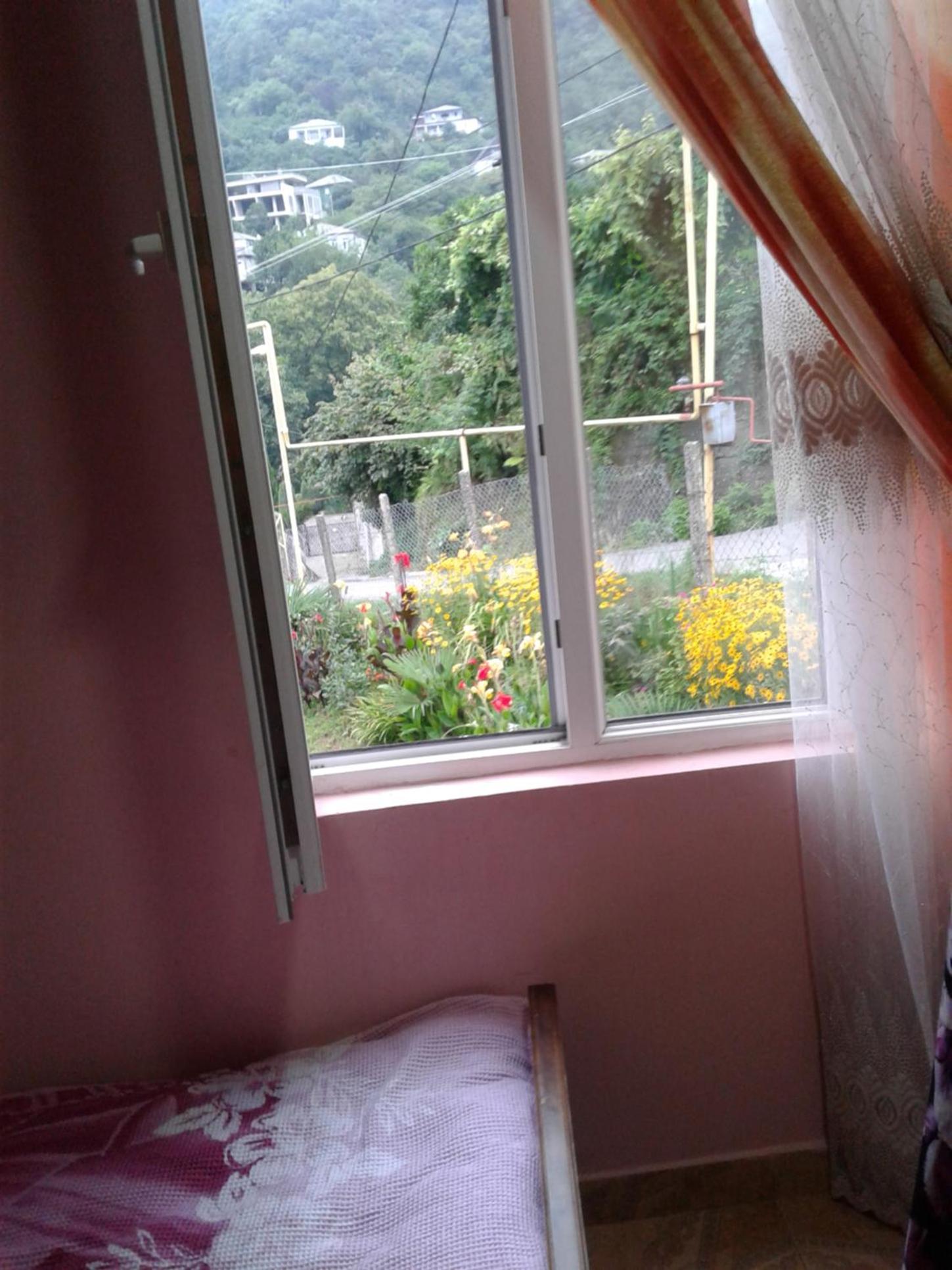 Photo 51