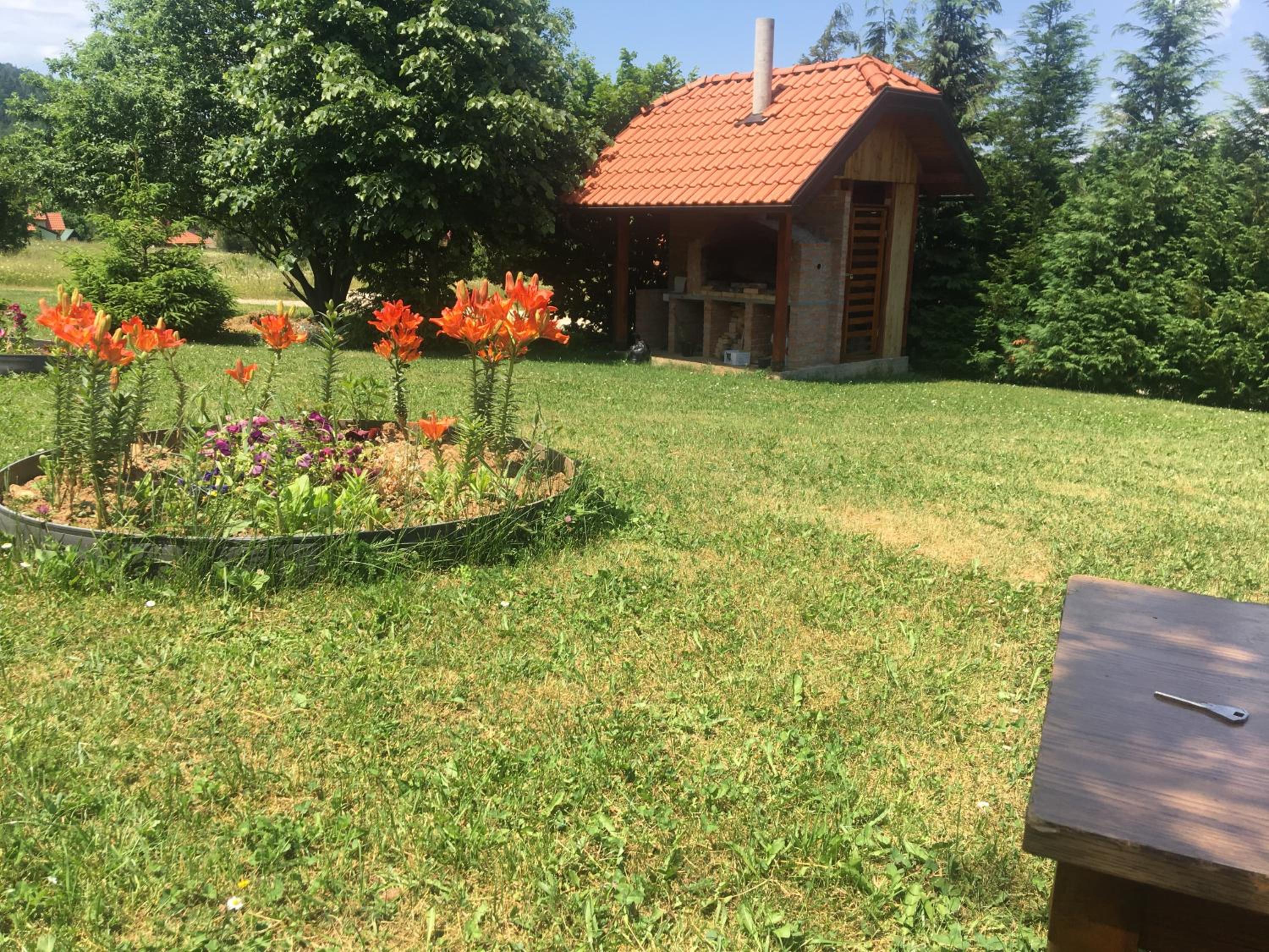 Photo 24
