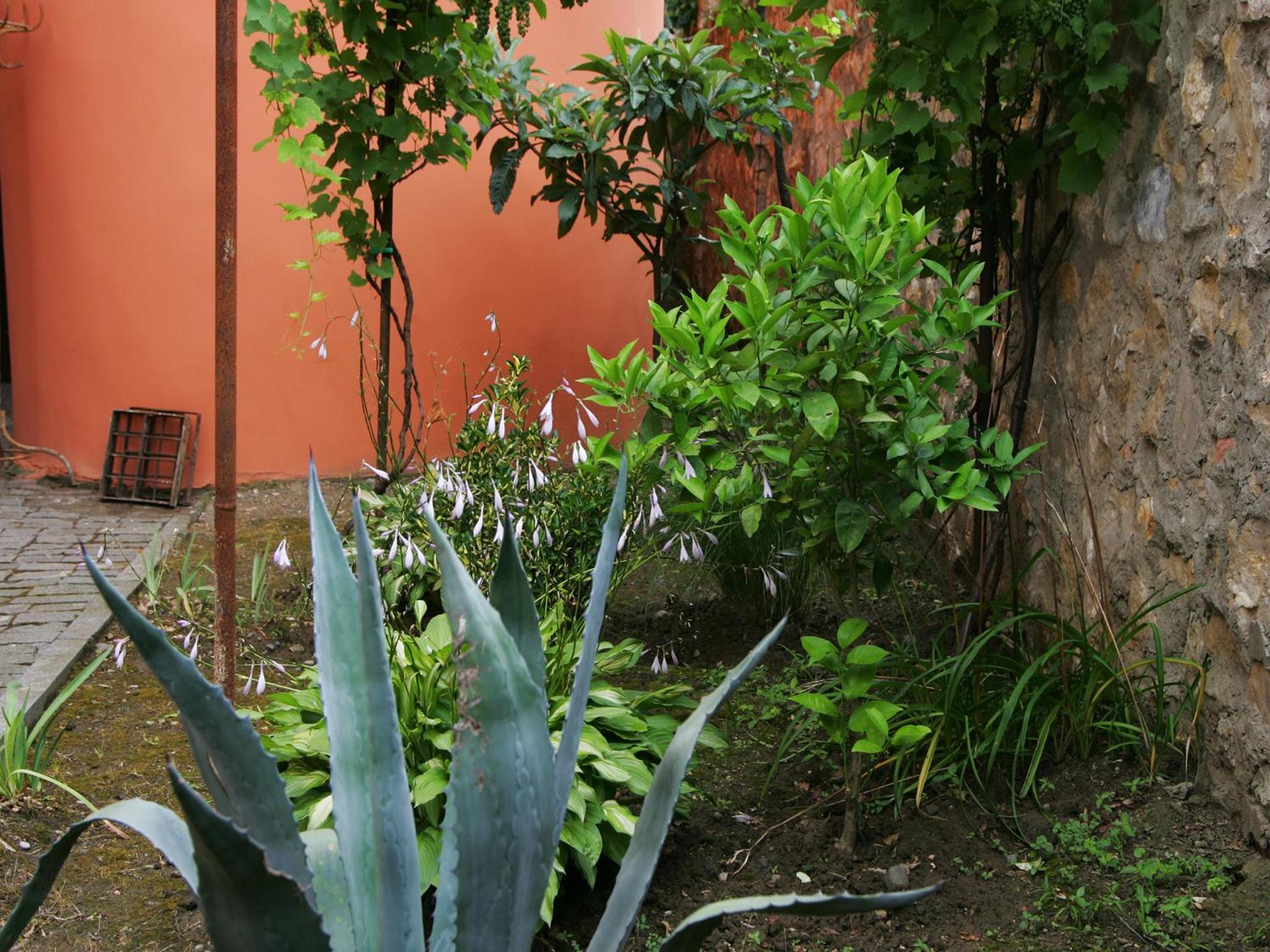 Photo 45