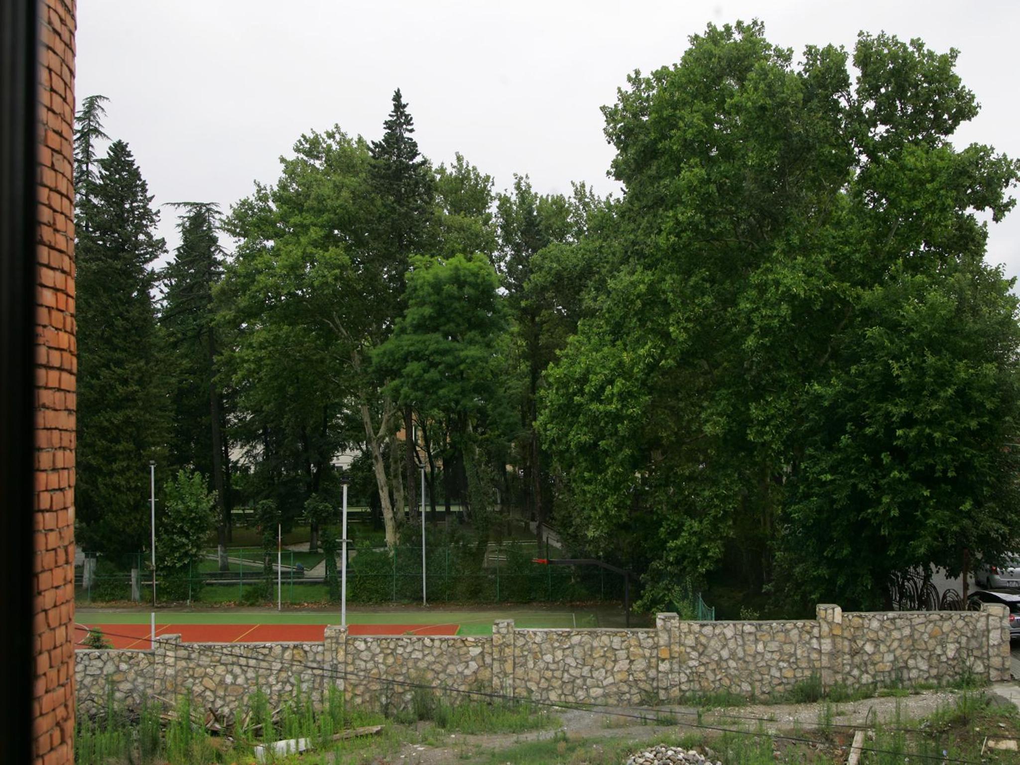 Photo 30