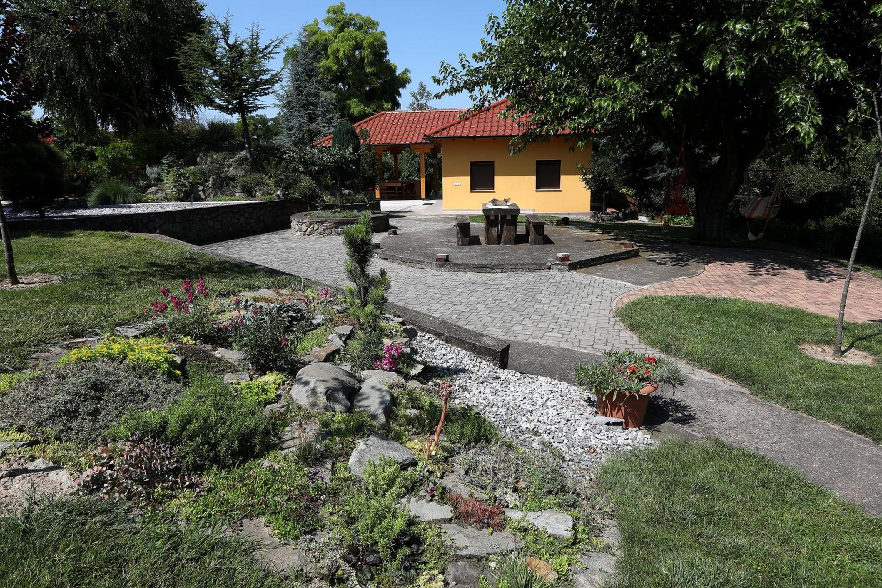 Photo 11