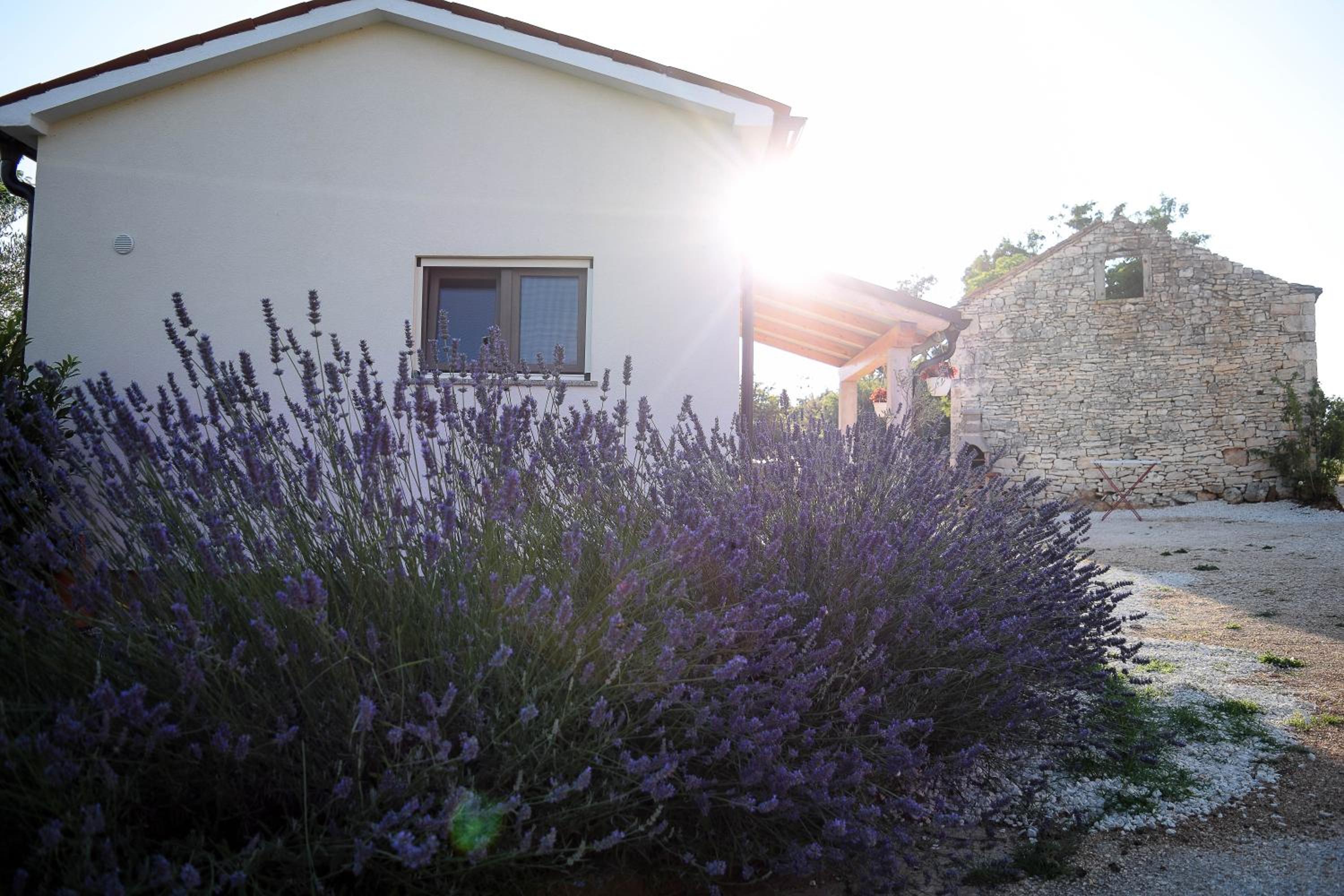 Photo 35