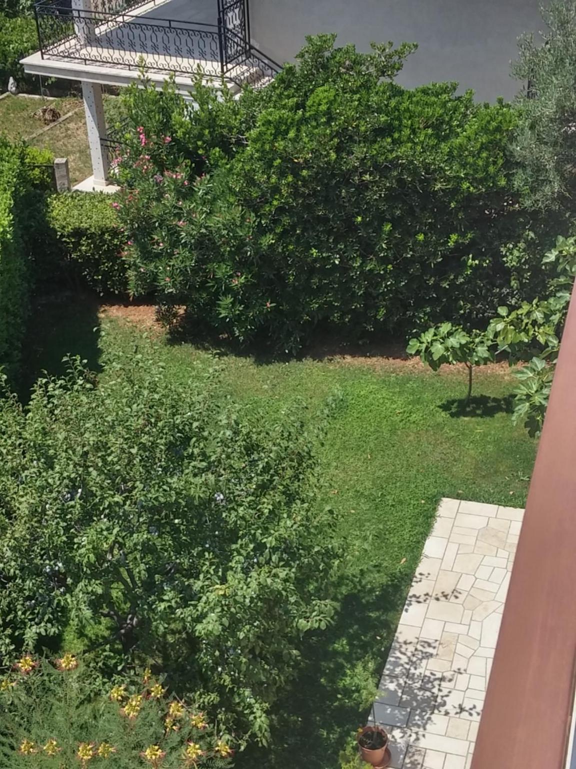 Apartments Katarina