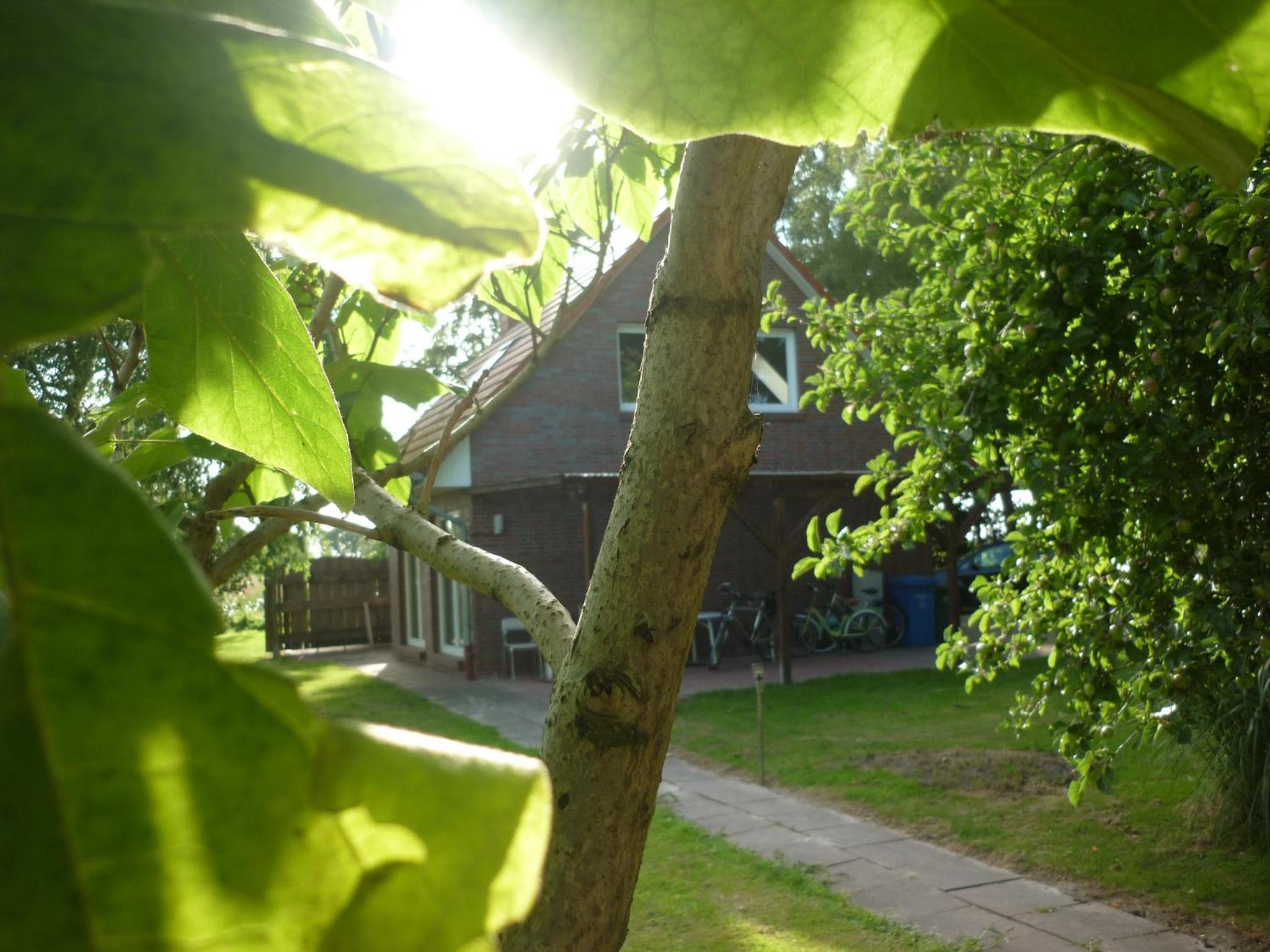 Ferienhaus Groß Popkenhausen