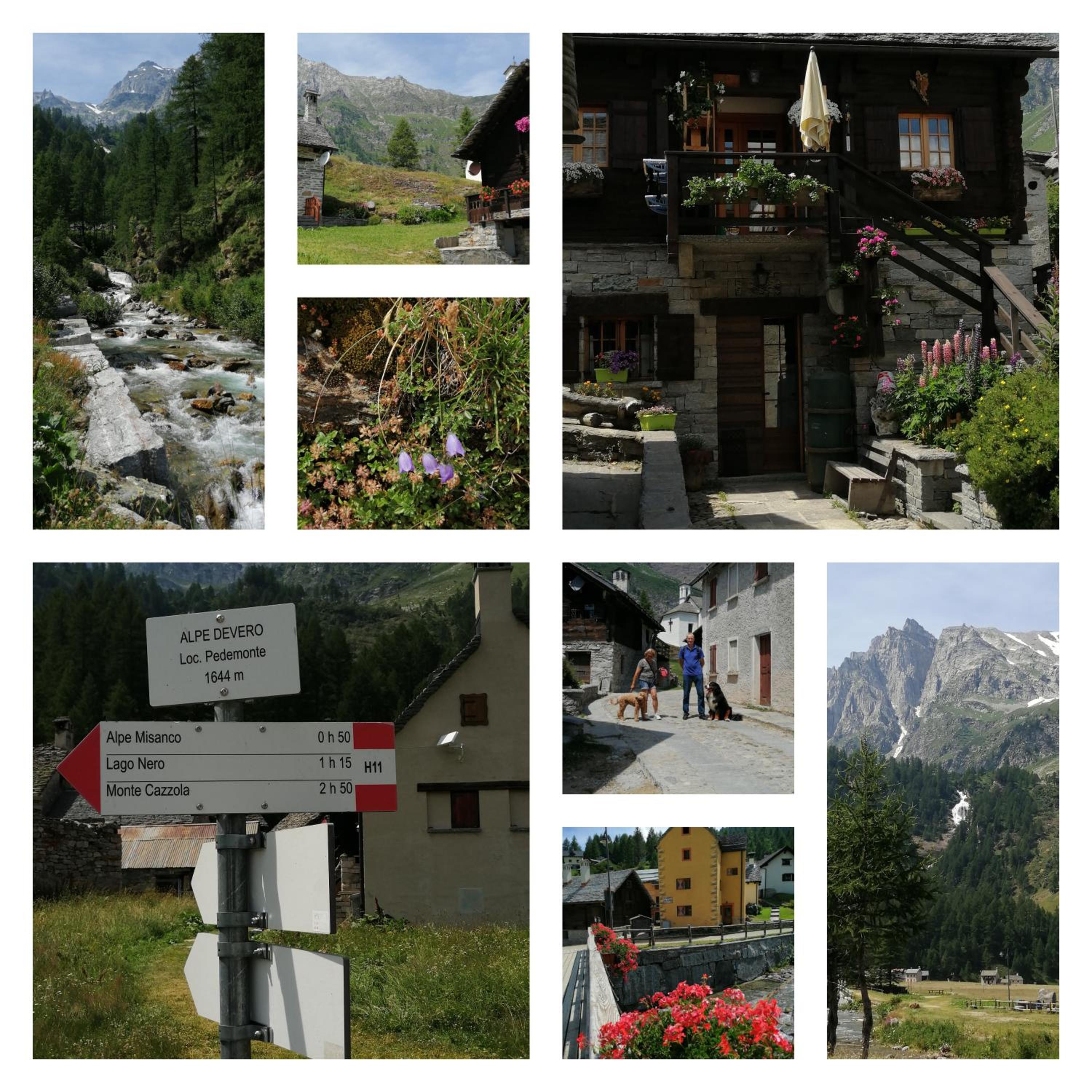 Photo 19