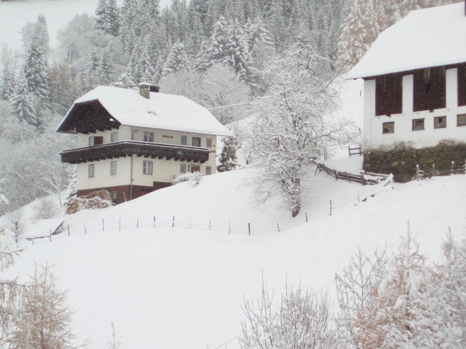 Tischnerhof Appartements