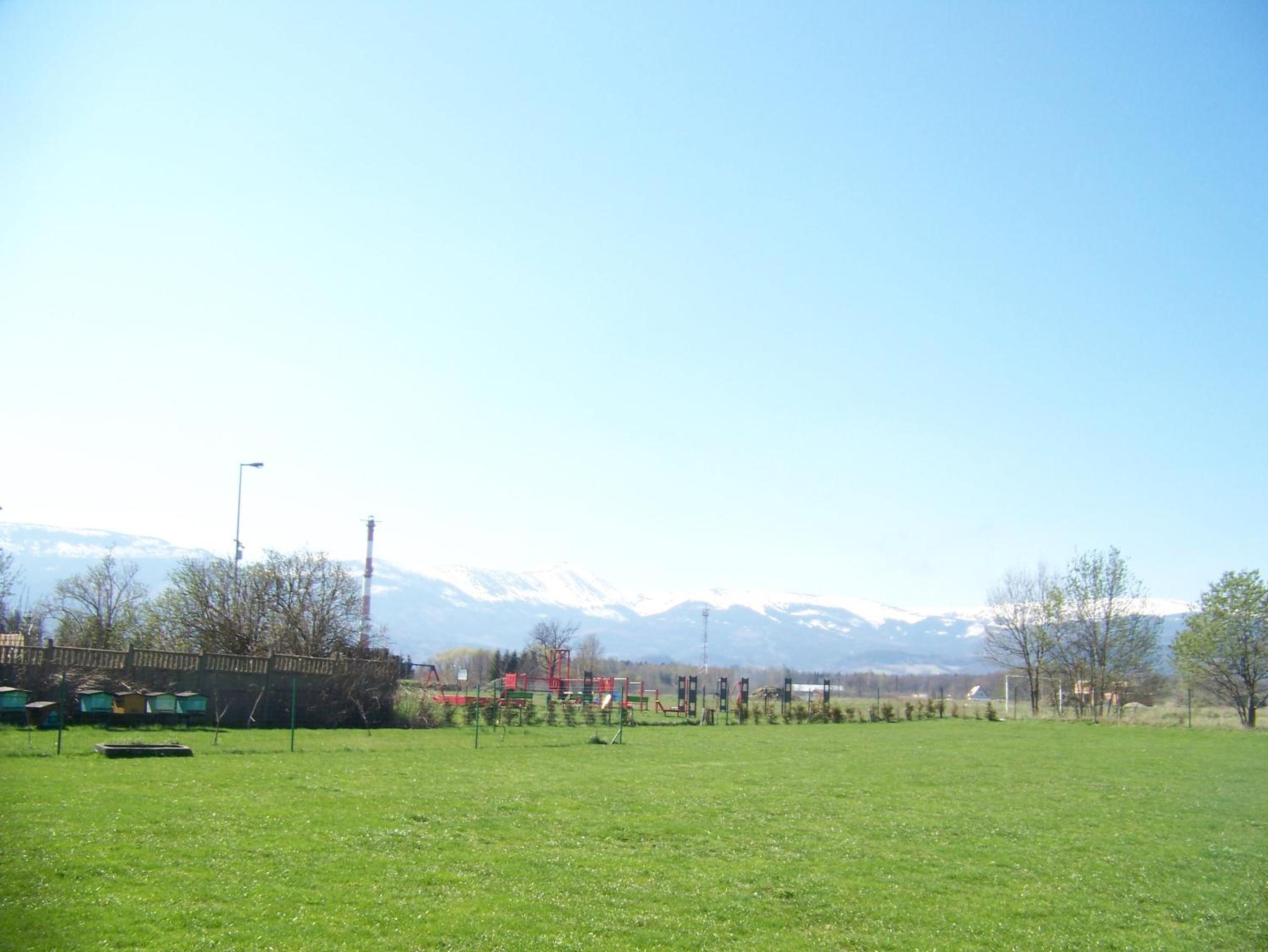 Photo 12