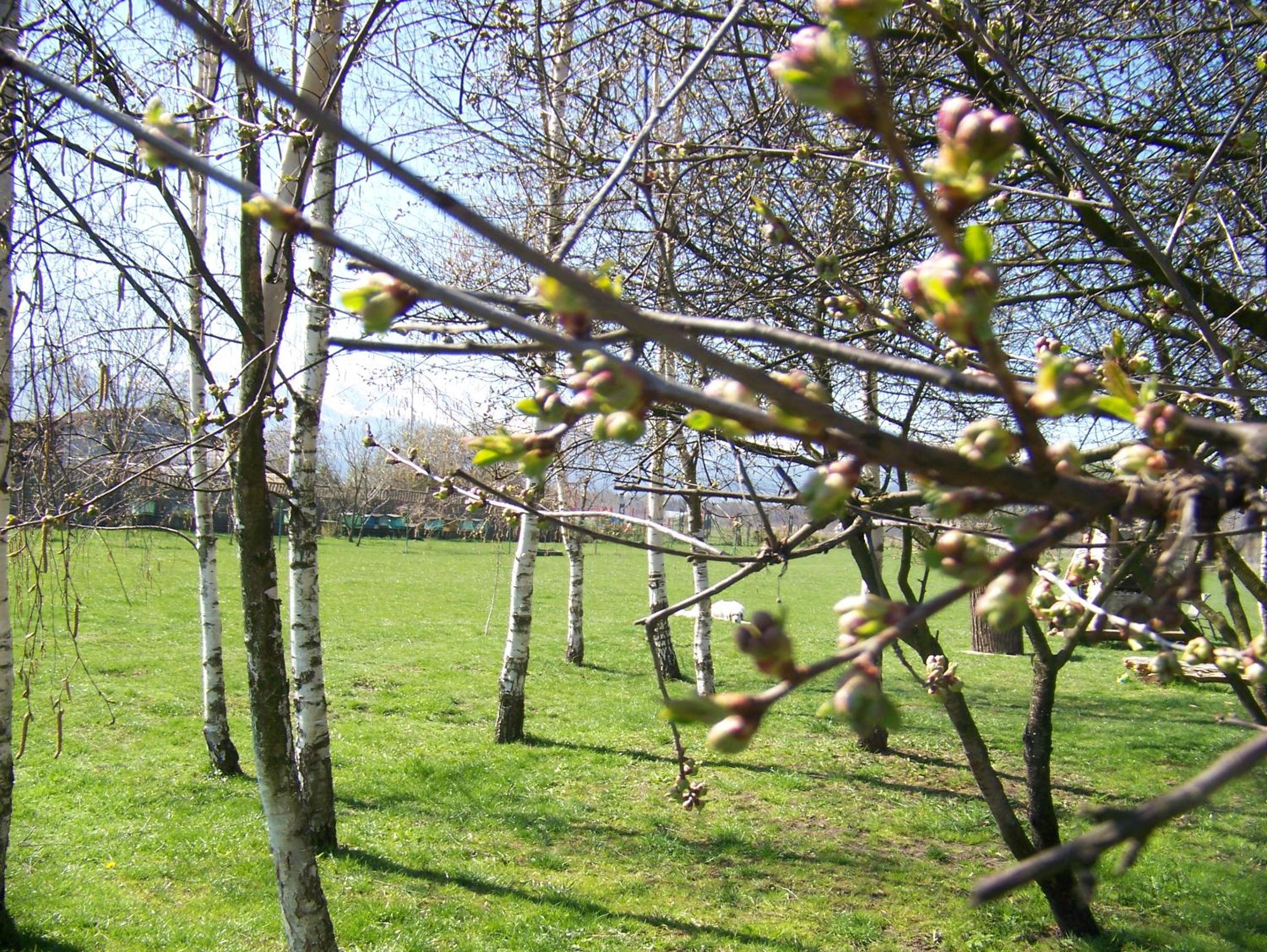 Agroturystyka Sielana view 4