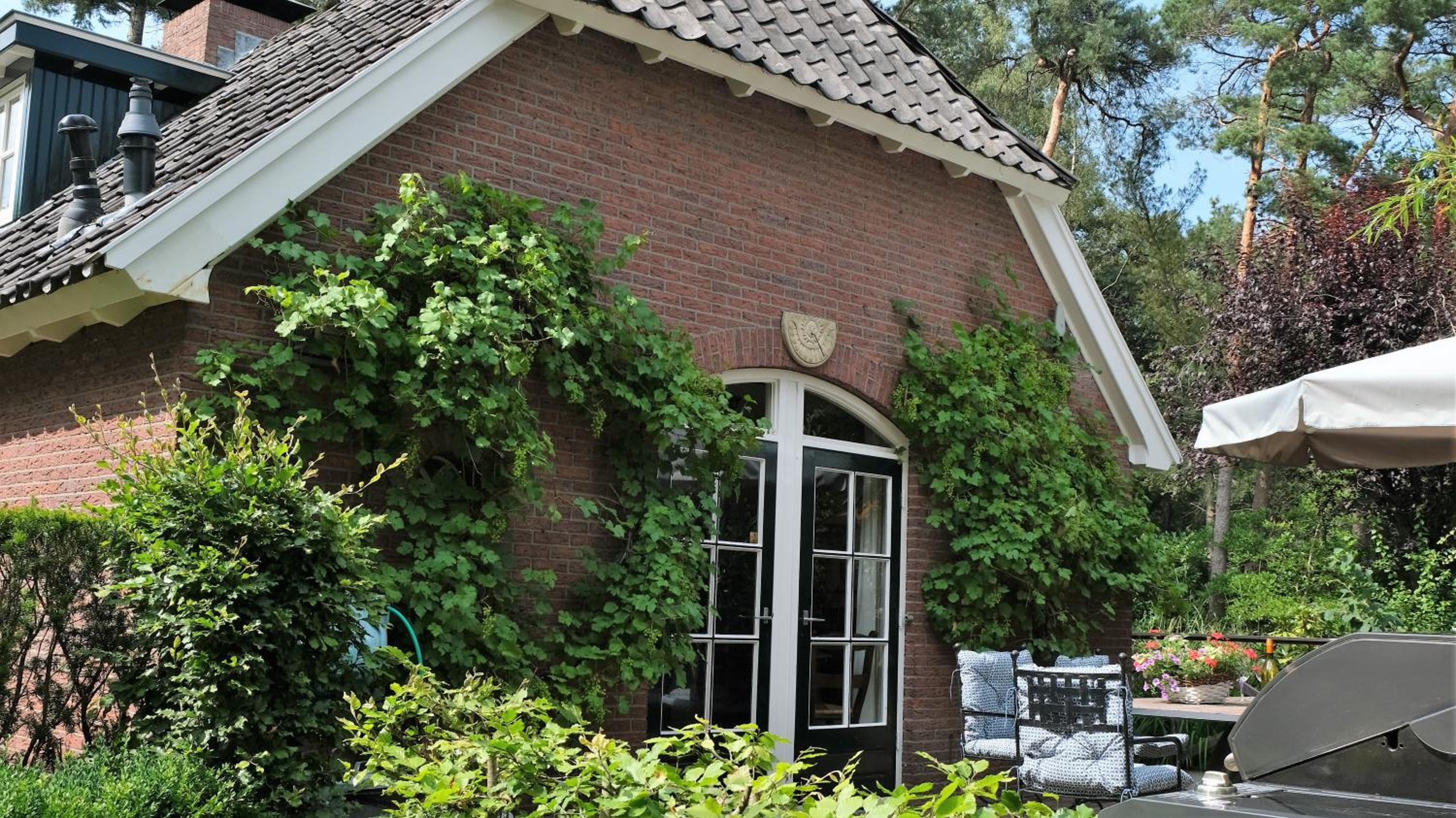 Vakantiewoning Salland view 3