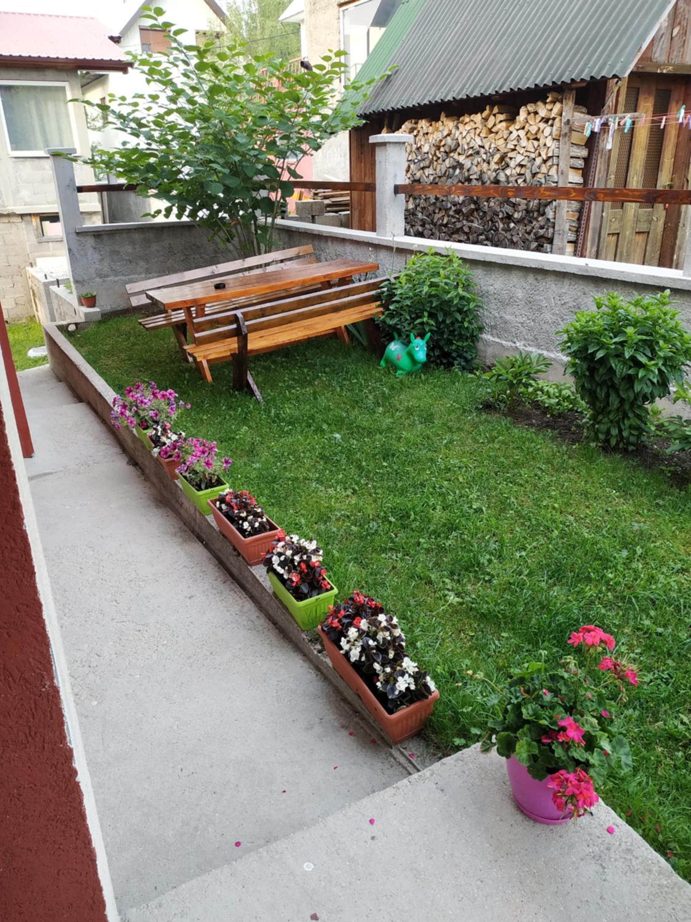 Photo 26