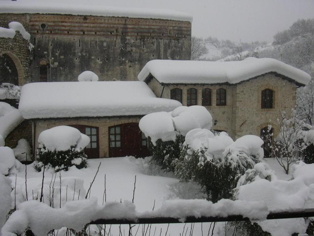 Photo 41