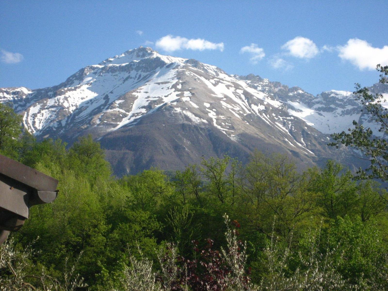 Photo 24