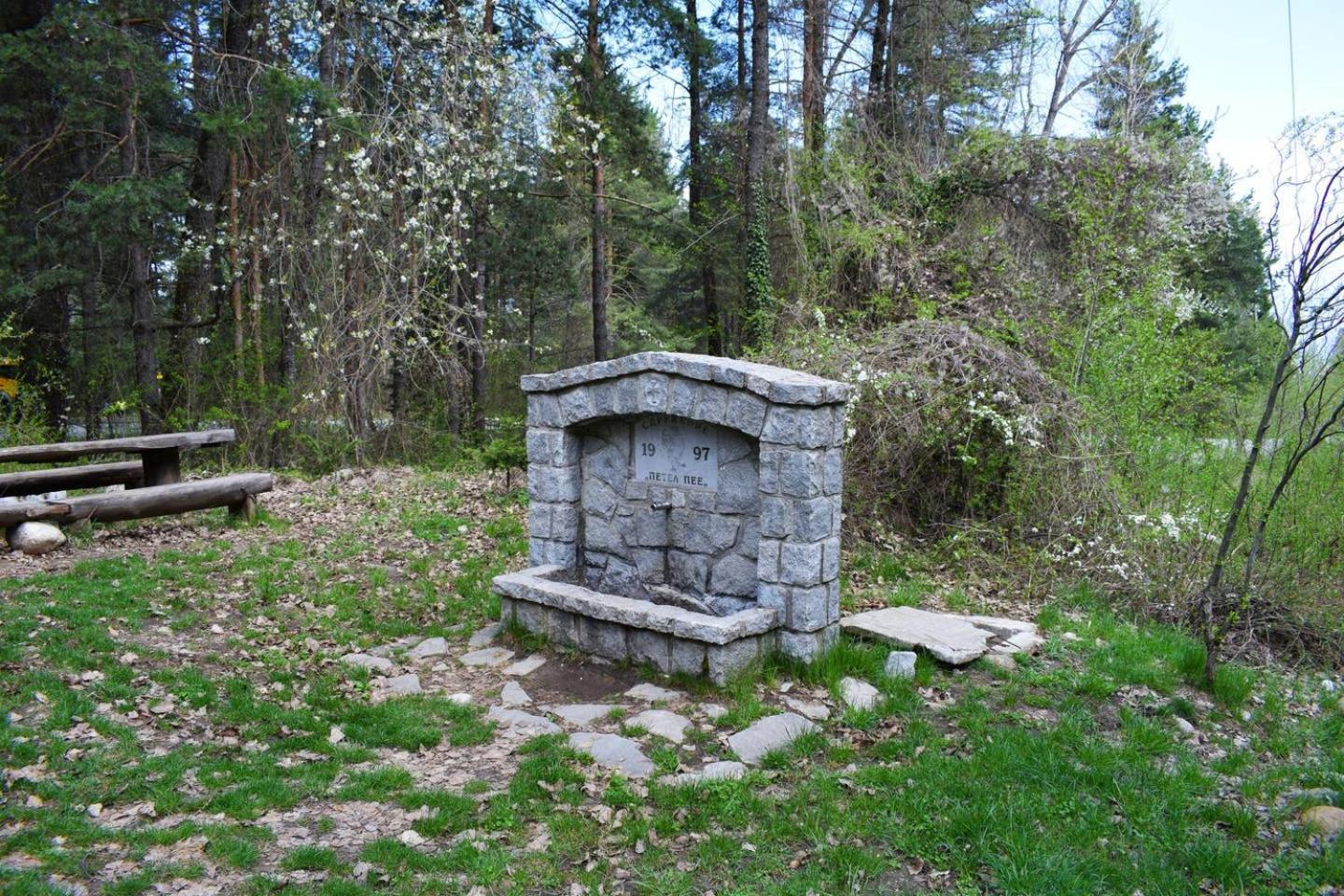 Photo 11