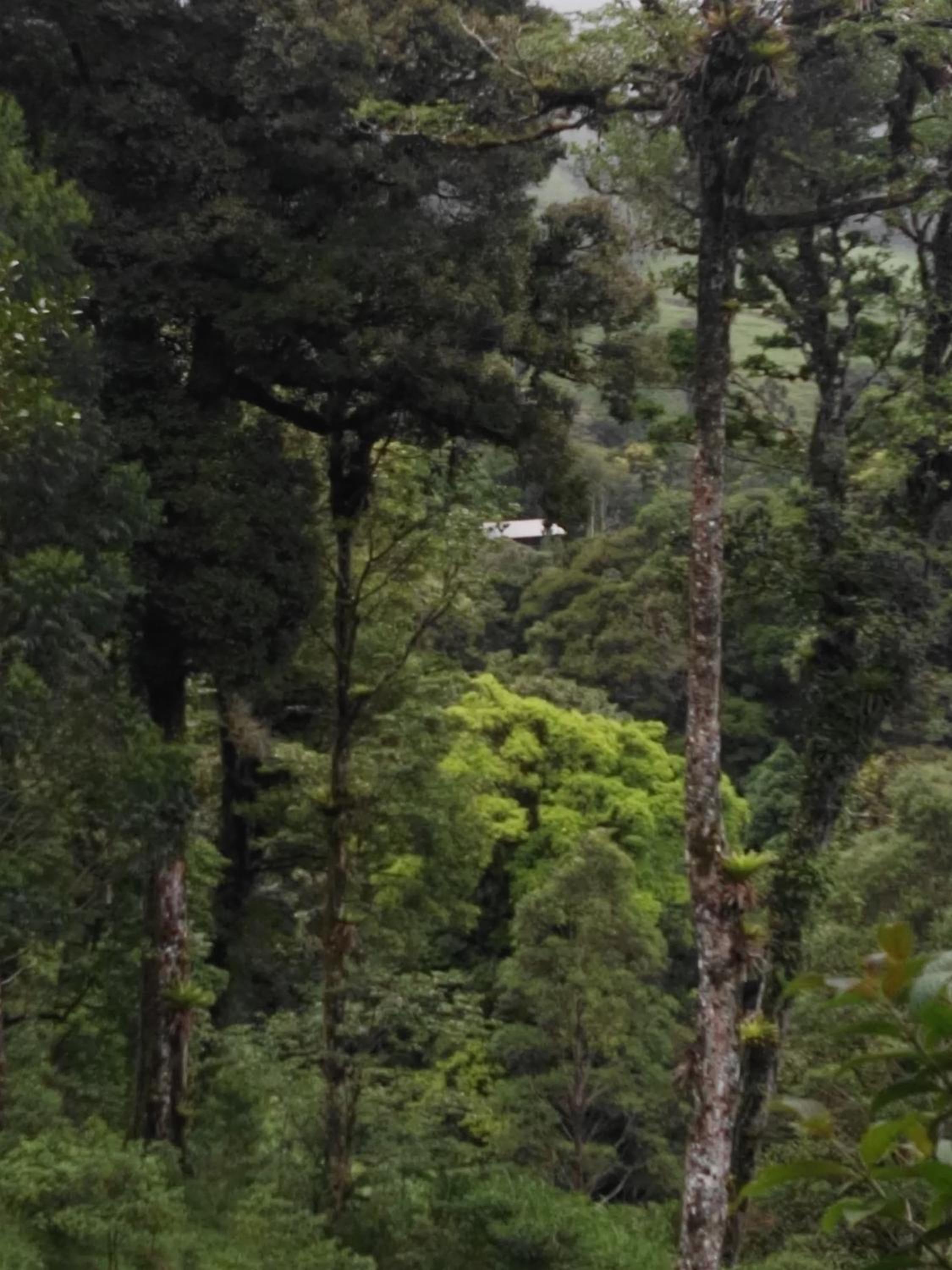 Monteverde Casa Mia, near main attractions and town!