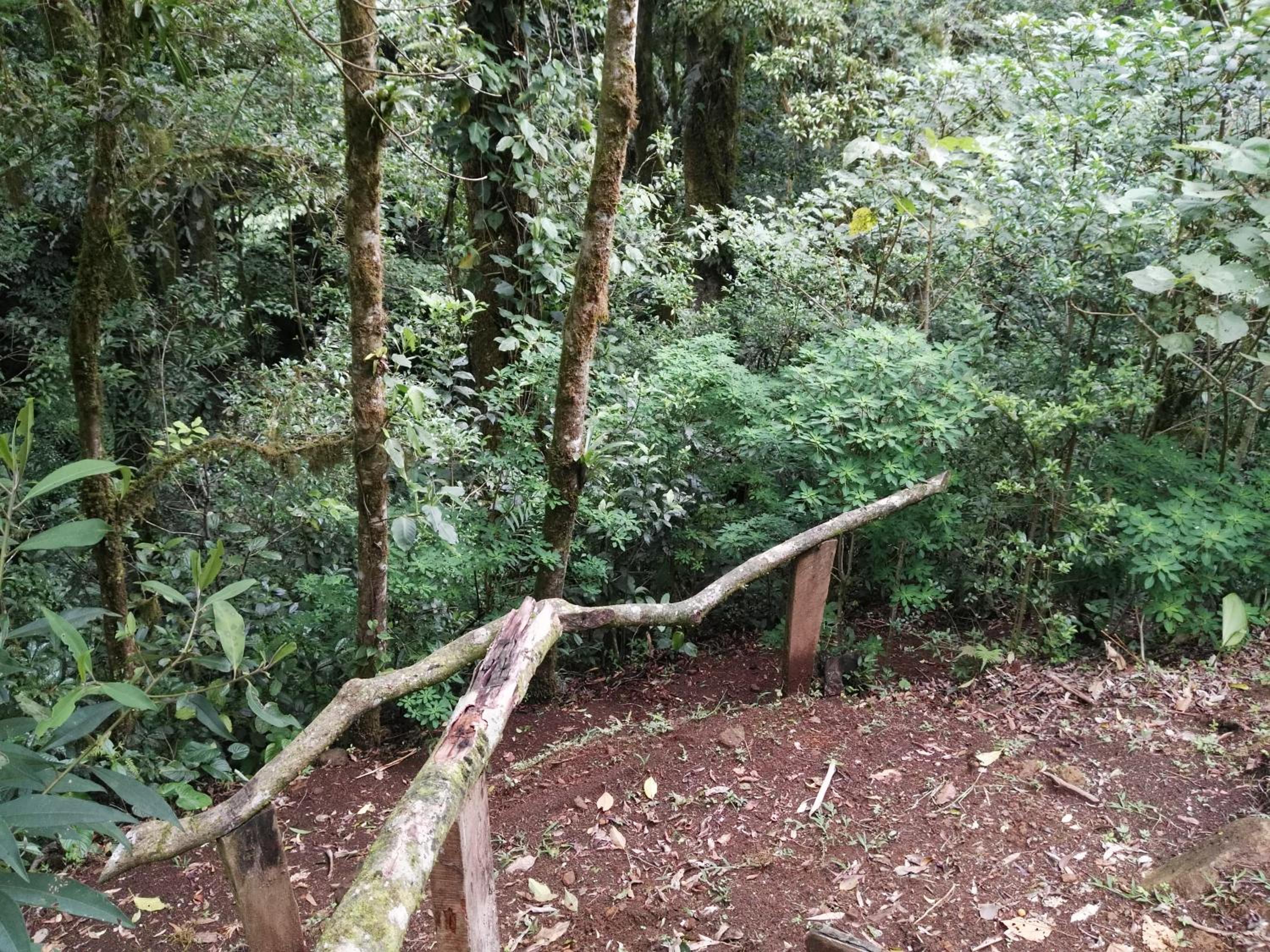 Monteverde Casa Mia, near main attractions and town!