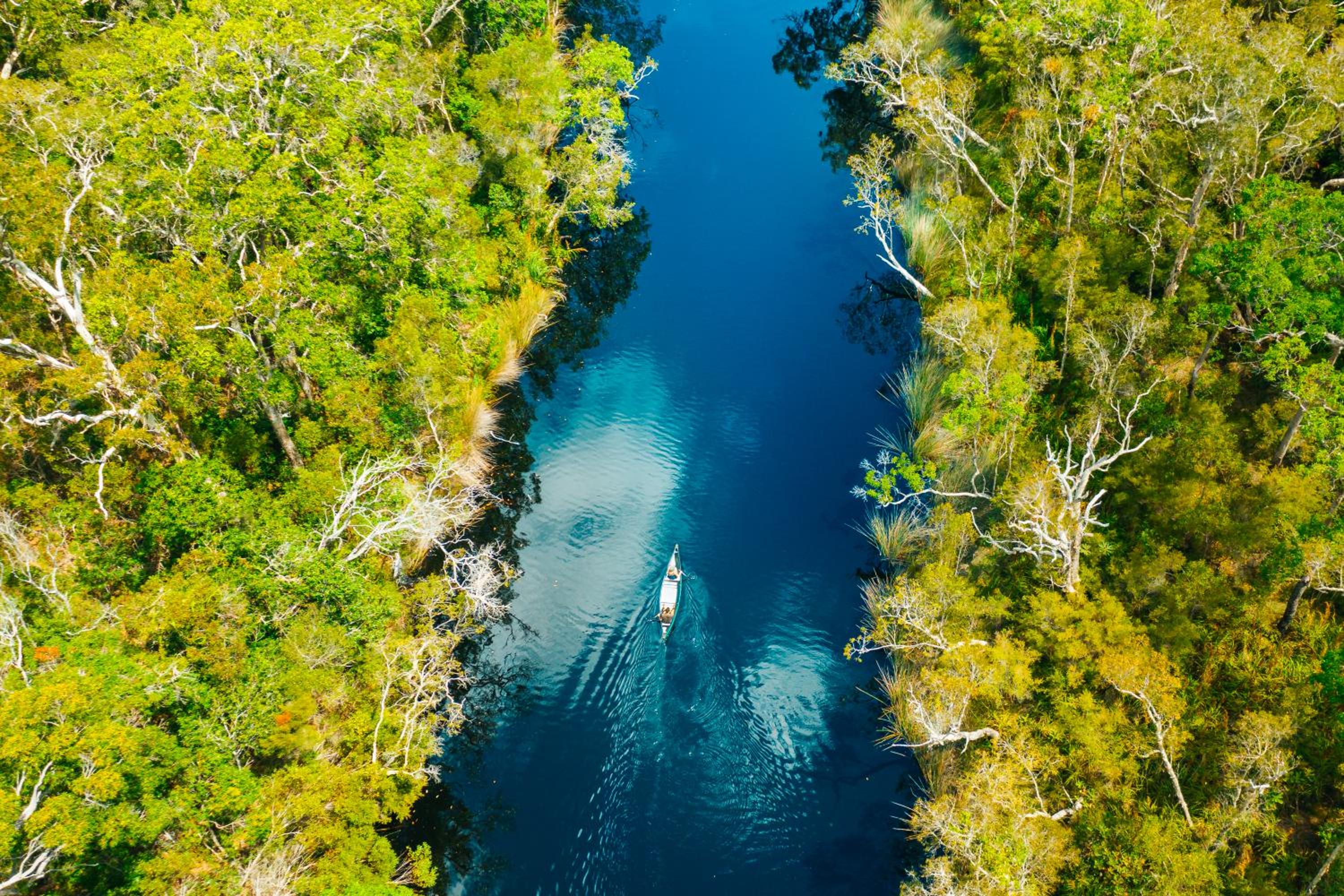 Habitat Noosa