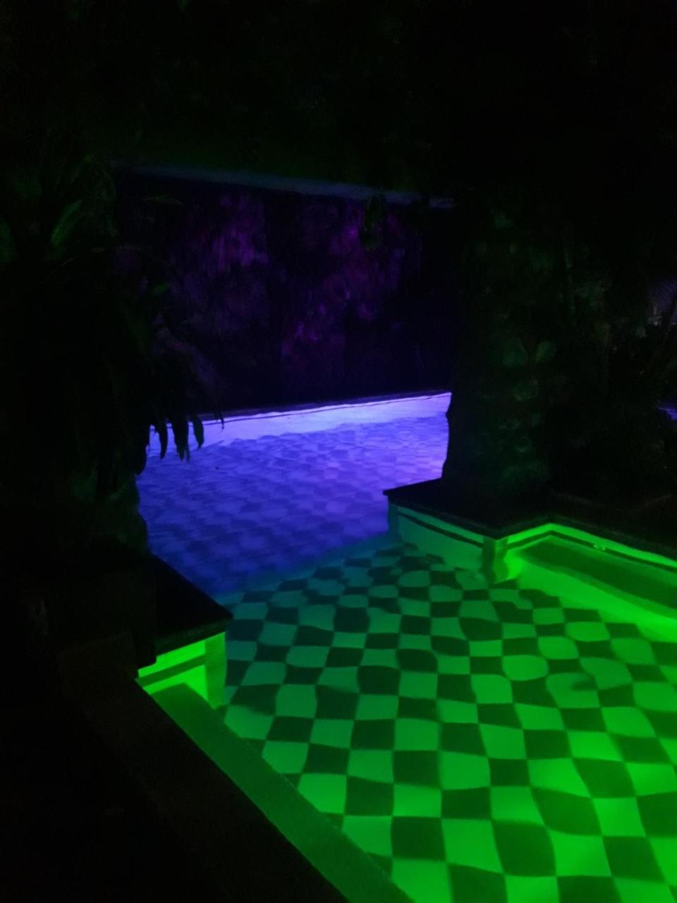 Casa Xanadu