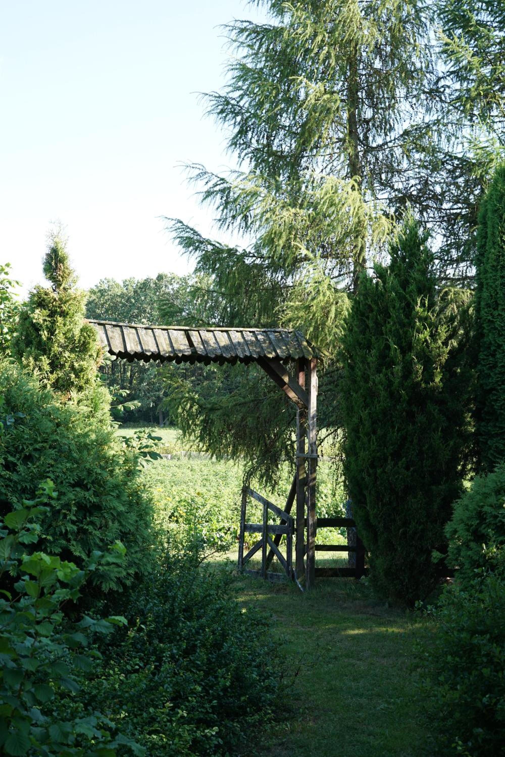 Photo 26