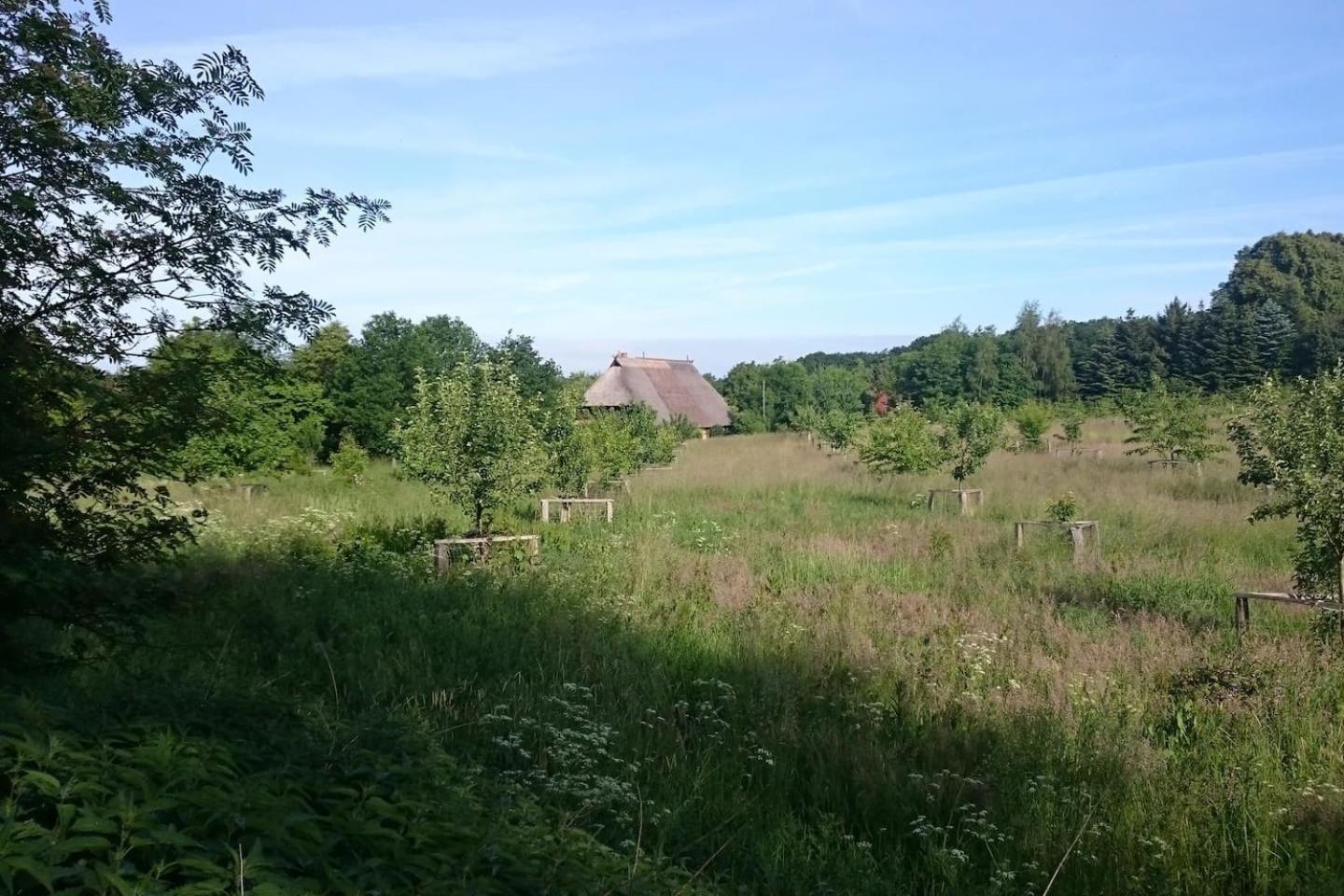 Chalet Forsthof Everstorf