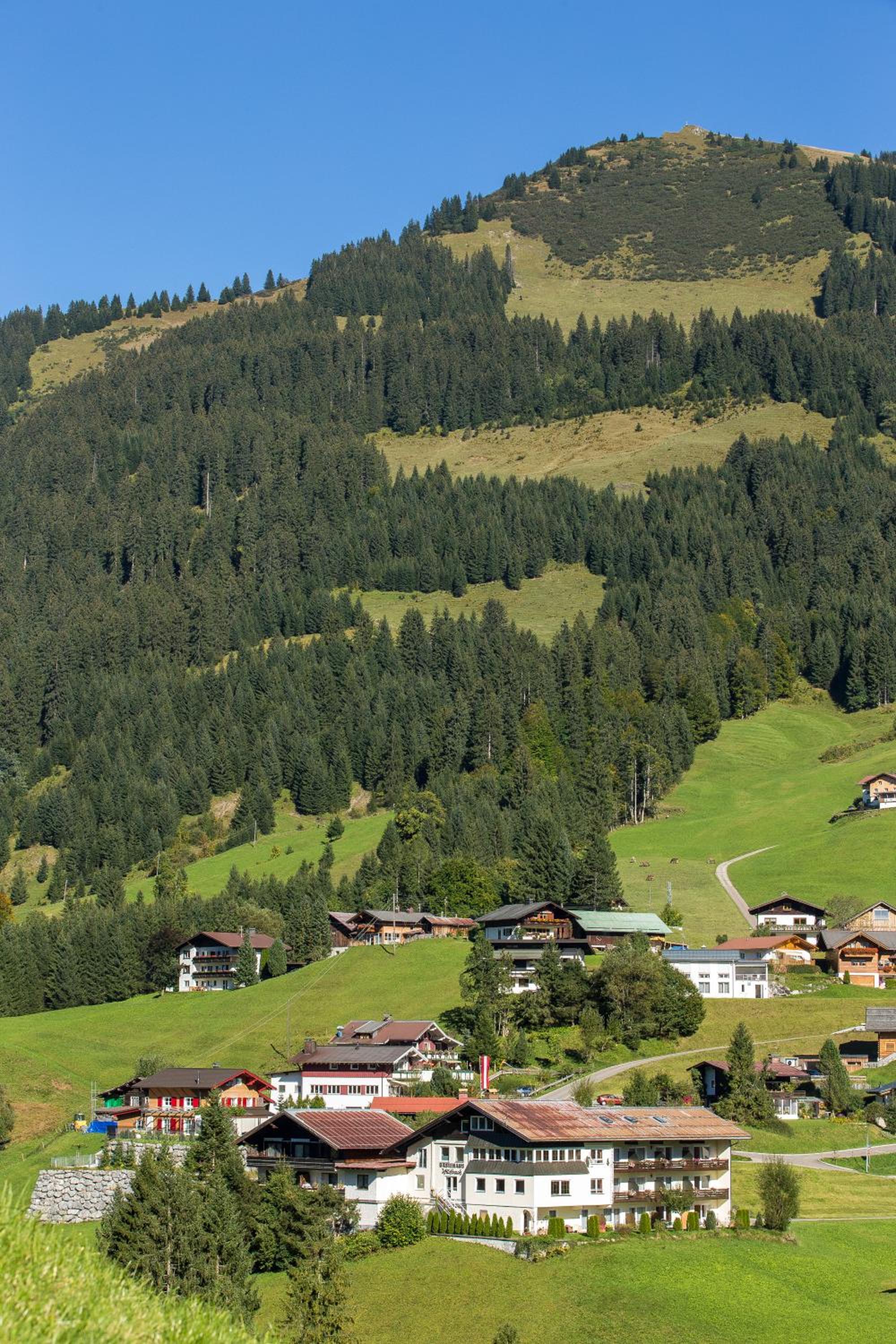 Gästehaus Wildbach