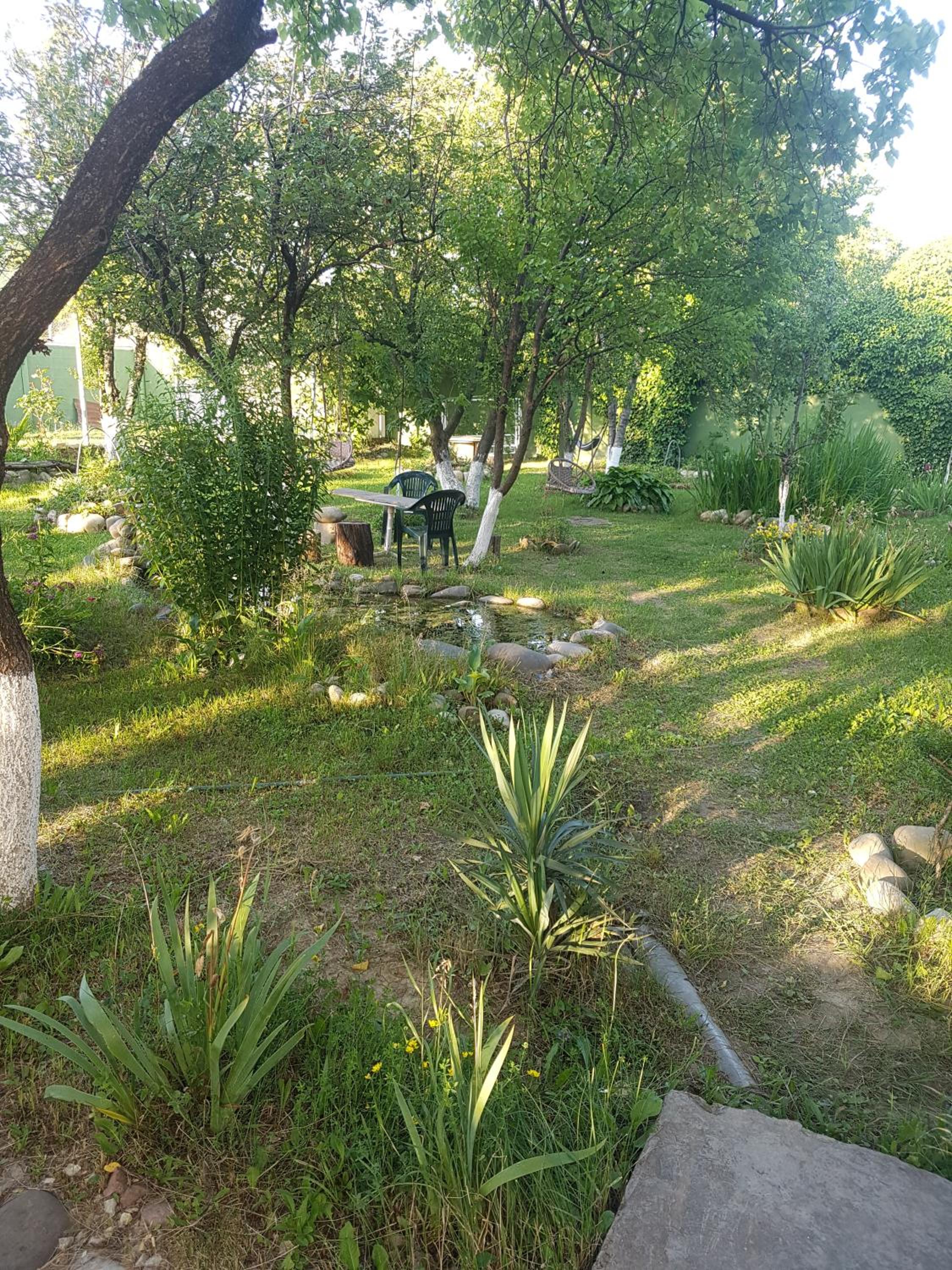 Photo 7