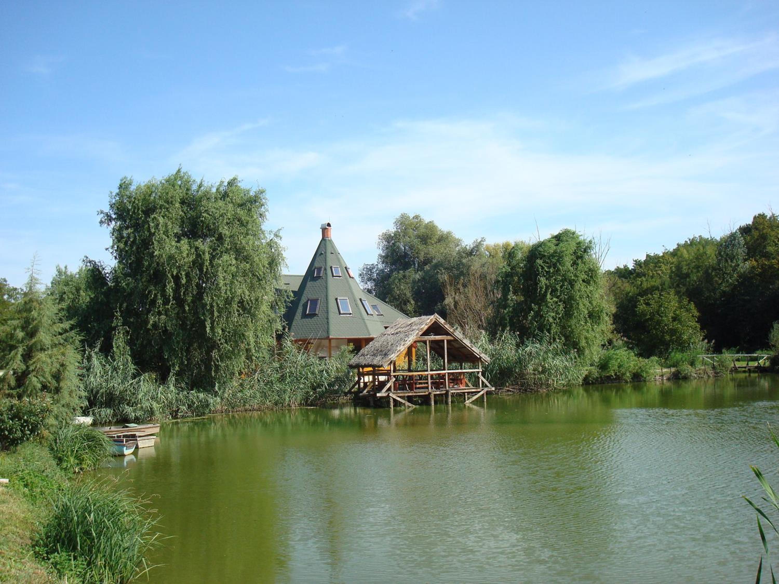 Photo 10