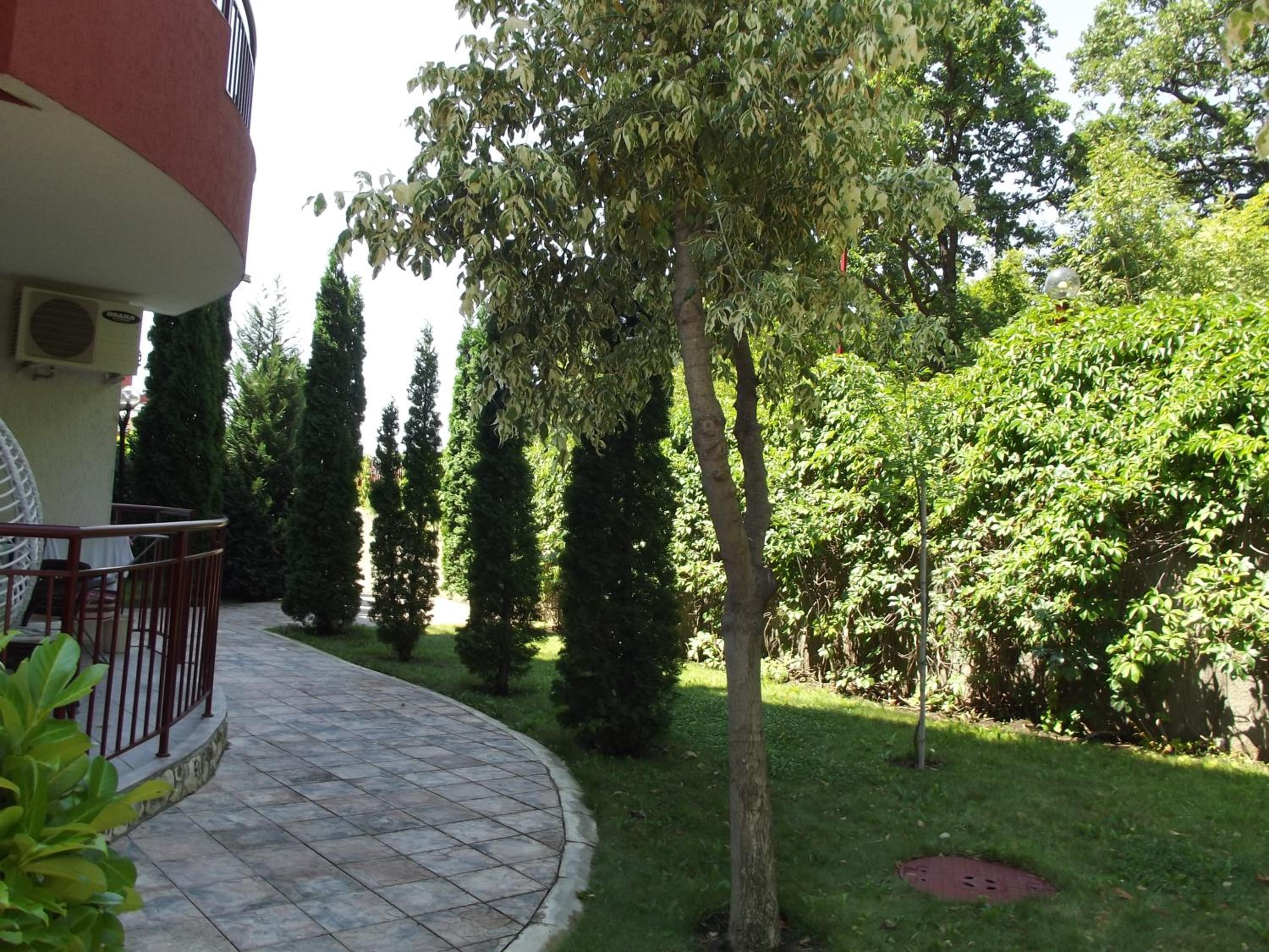 Photo 56