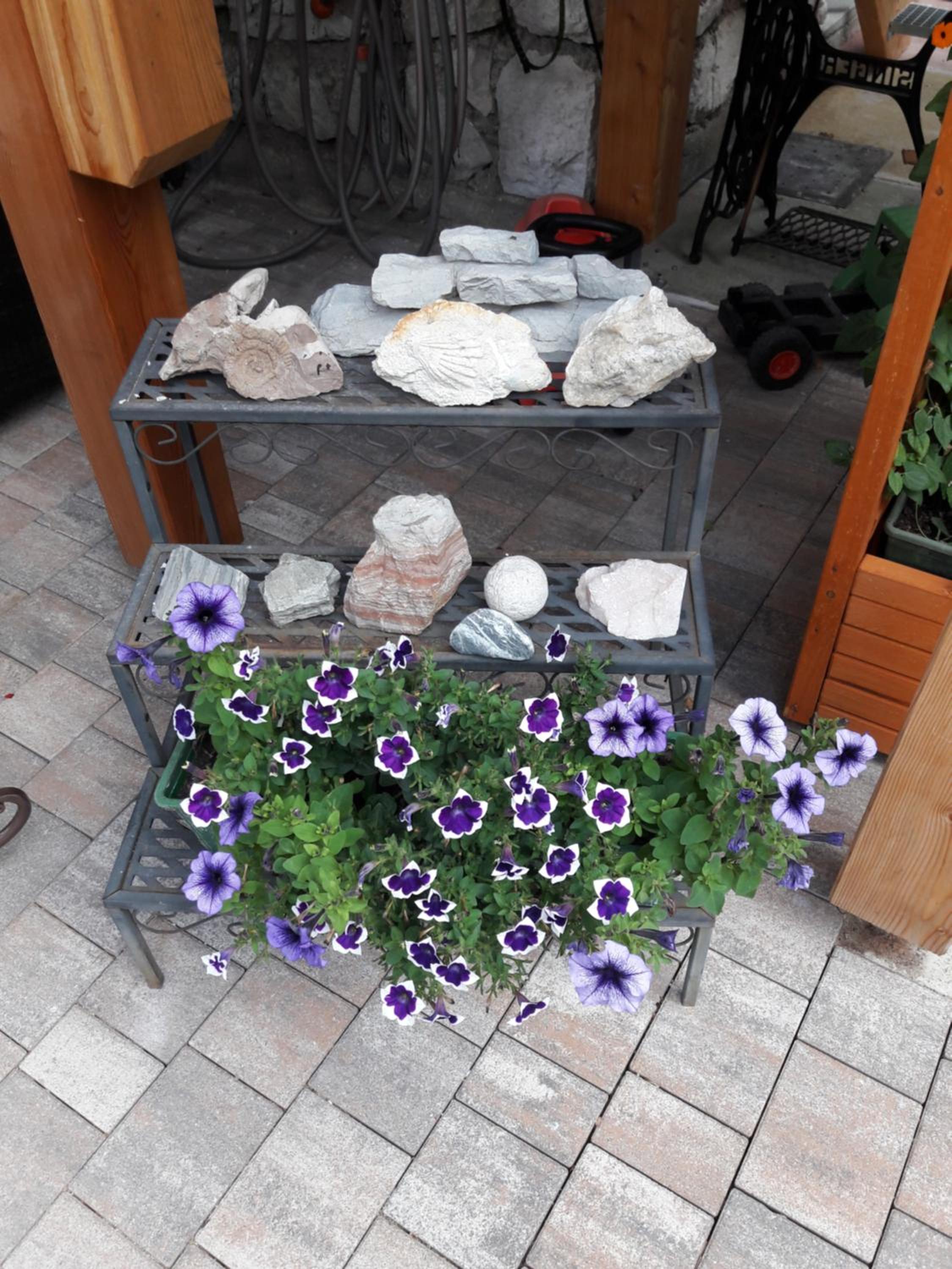 Photo 33