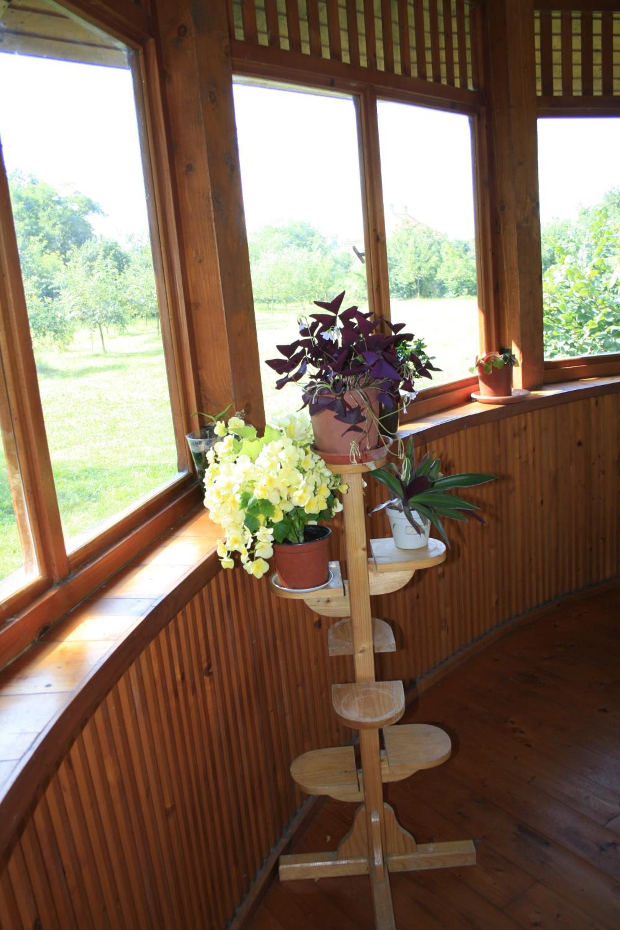 Photo 45