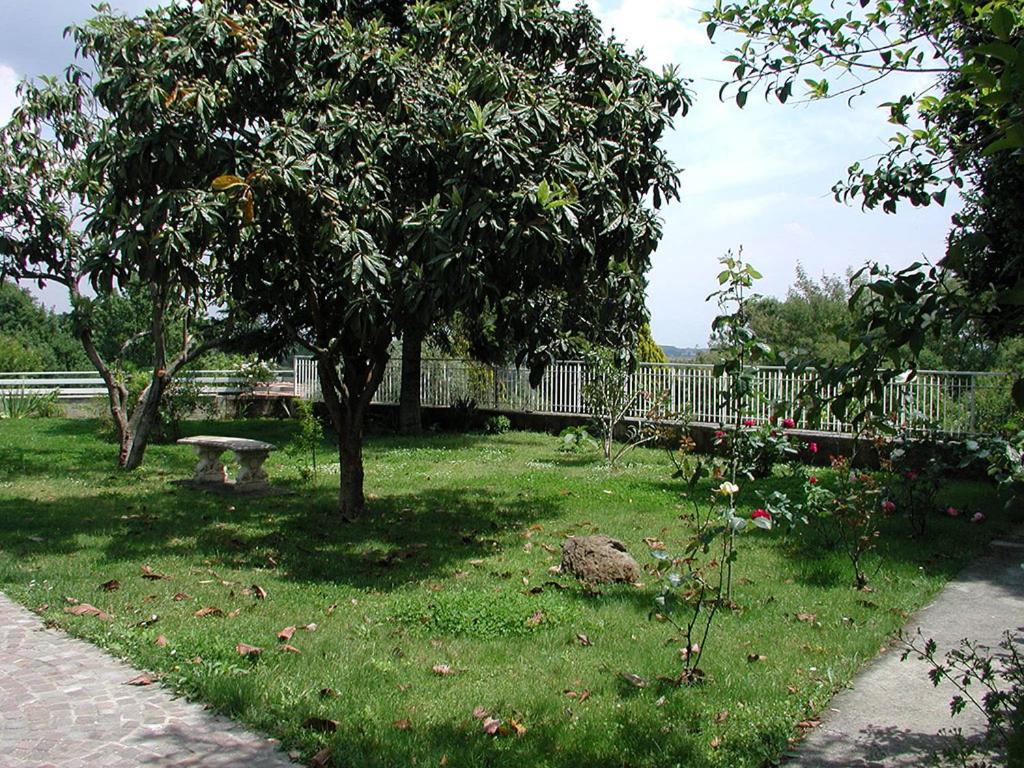 Oasi di Pace view 5
