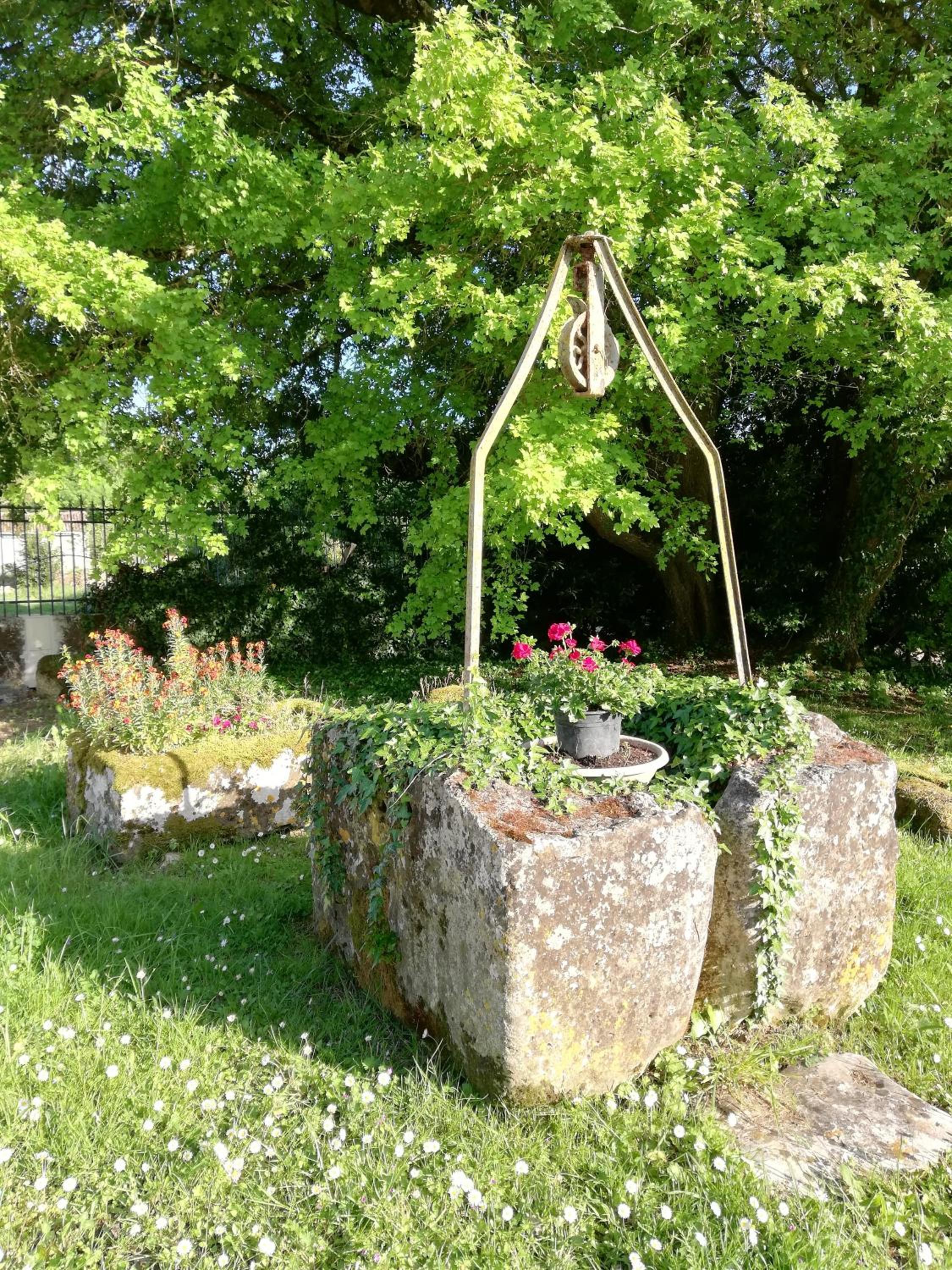 Photo 43
