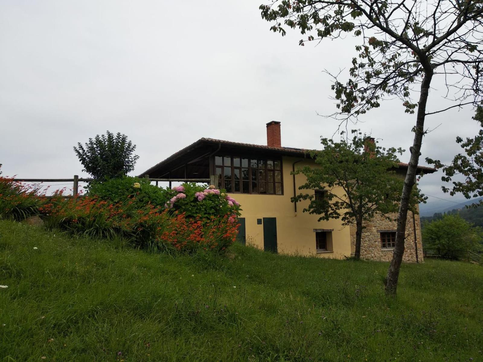 Photo 44