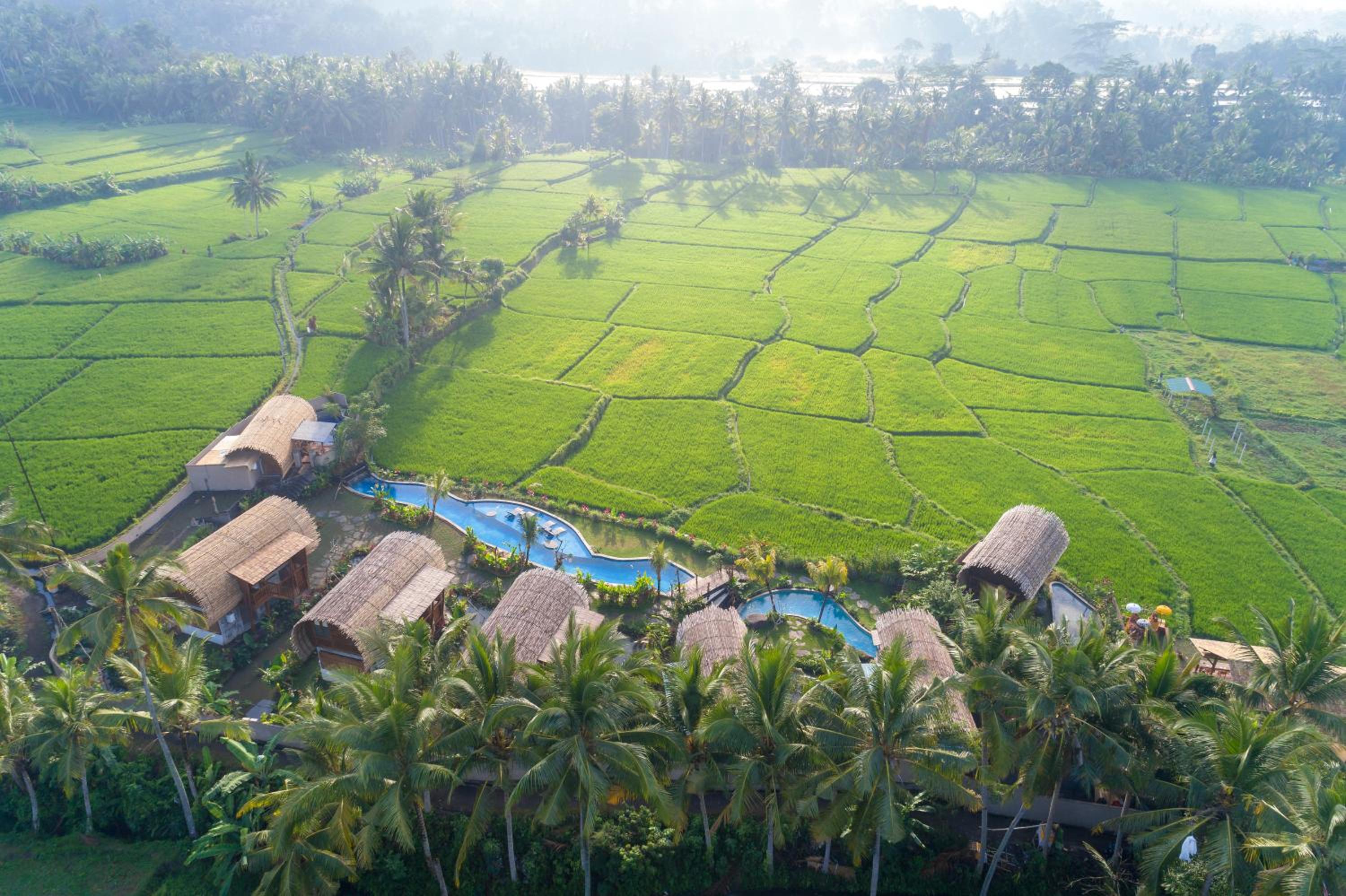 Hotel Beehouse Dijiwa Ubud
