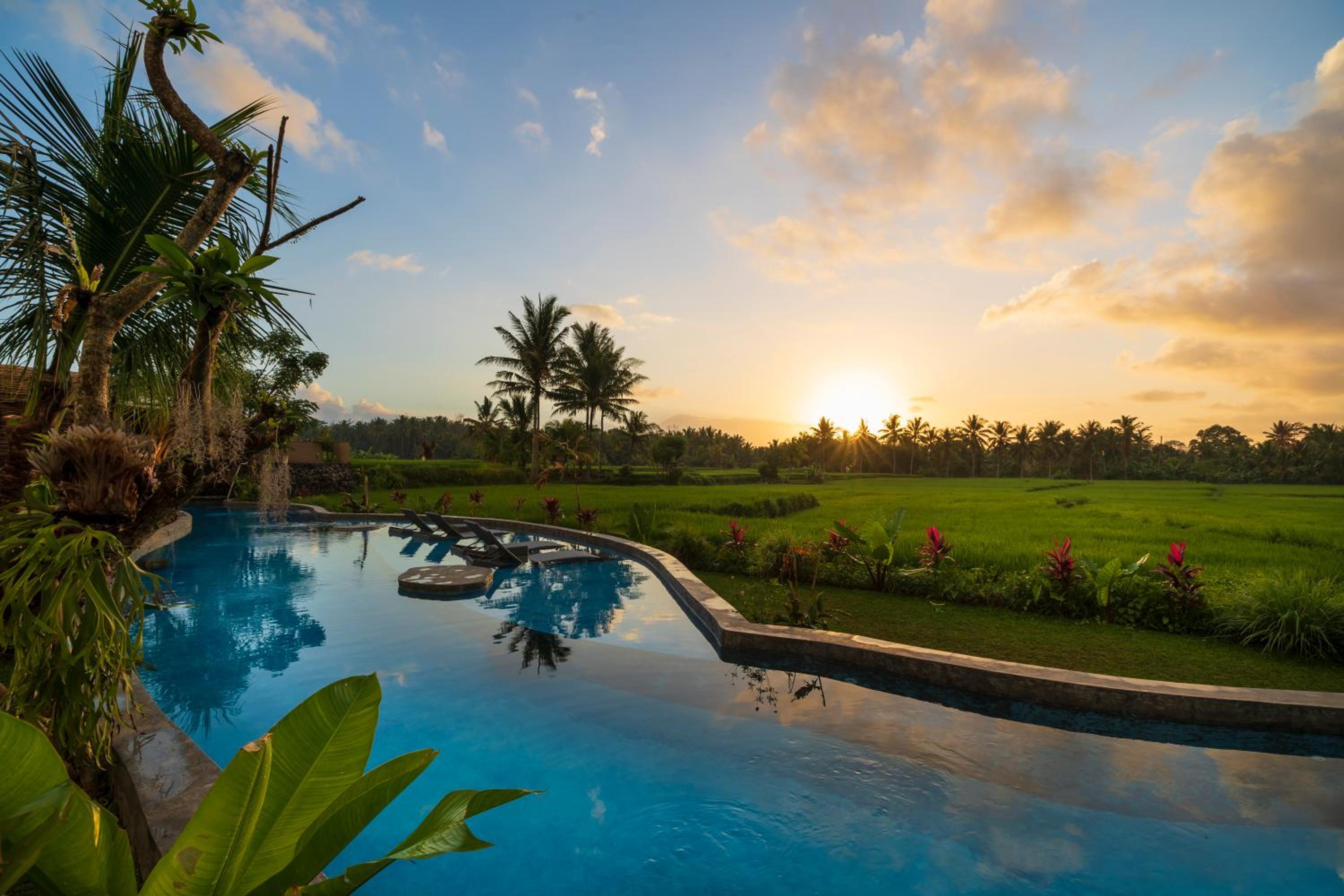 Beehouse Dijiwa Ubud - Image 3