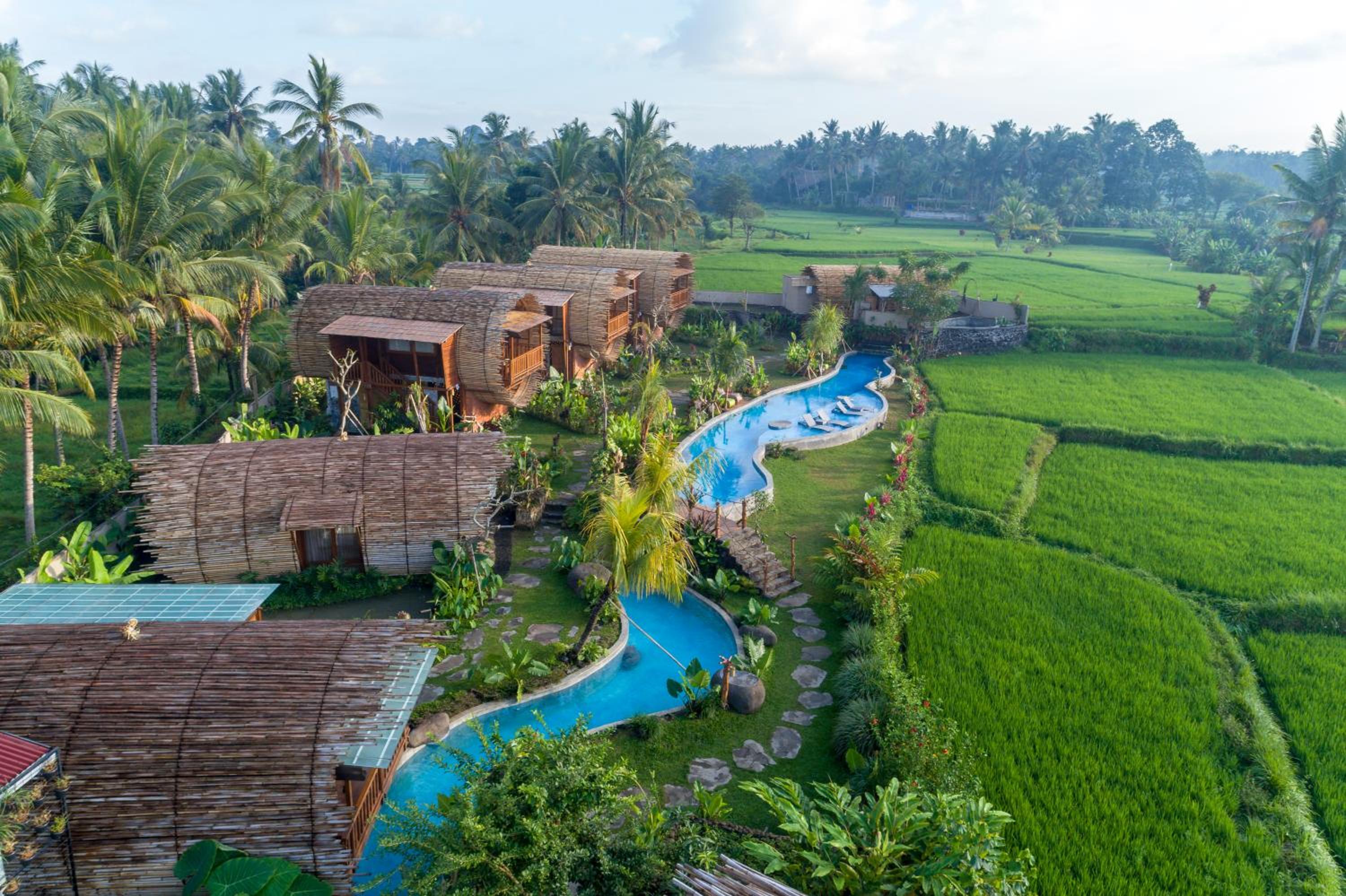 Beehouse Dijiwa Ubud - Image 5