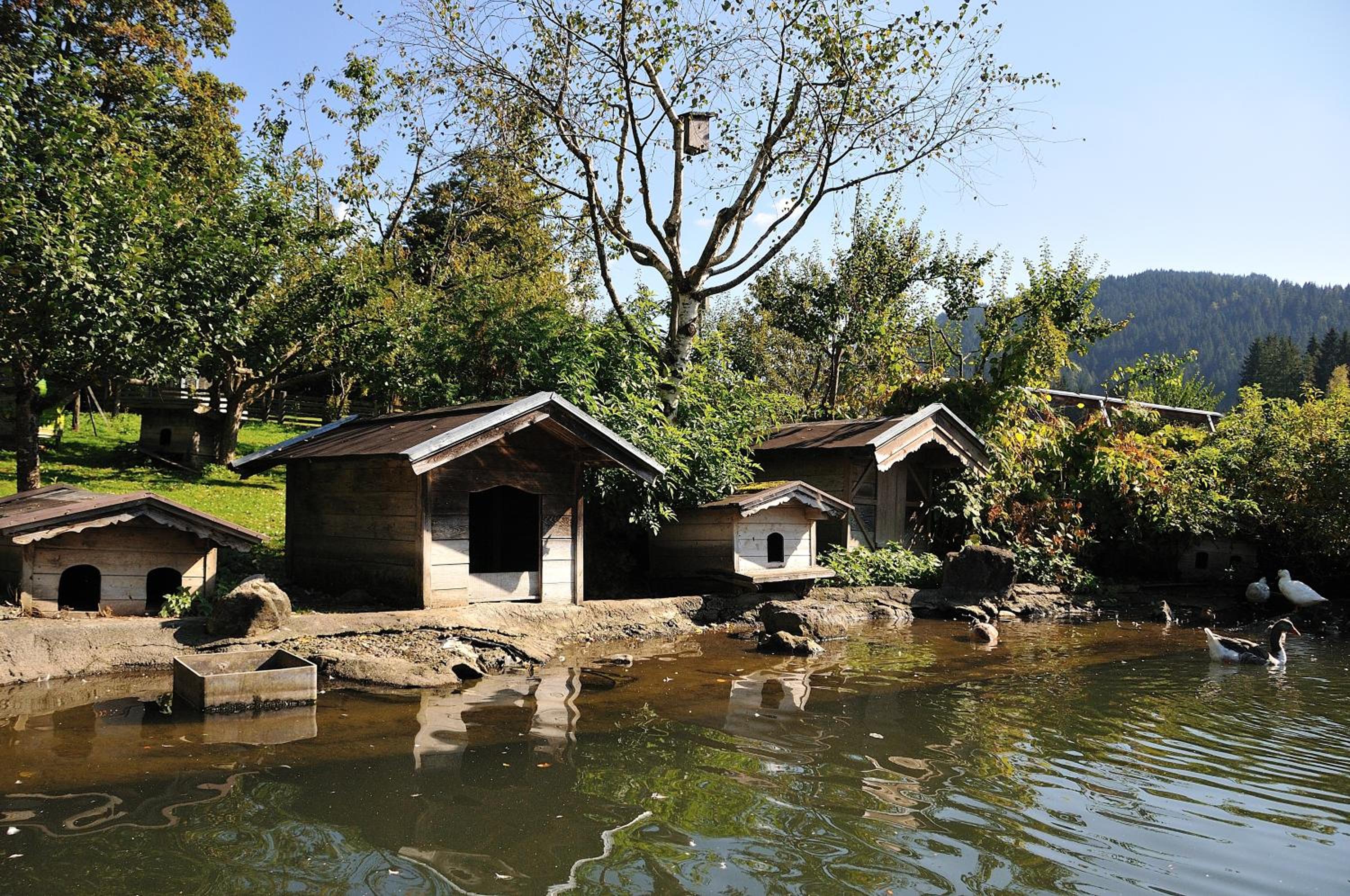 Bodenhof Ferienwohnungen