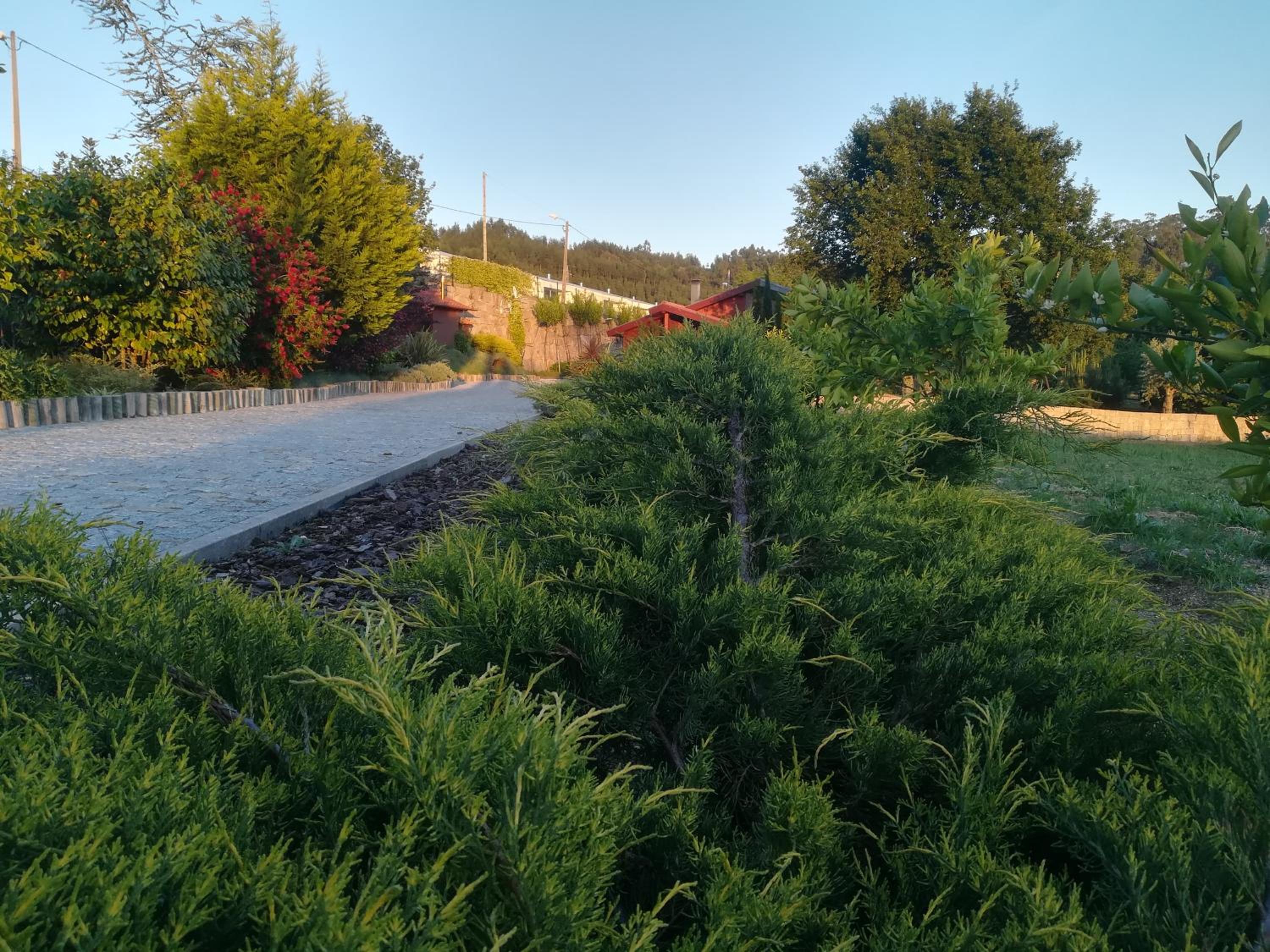 CAMPO DE SOBARBO - Guest House rural, photo 43
