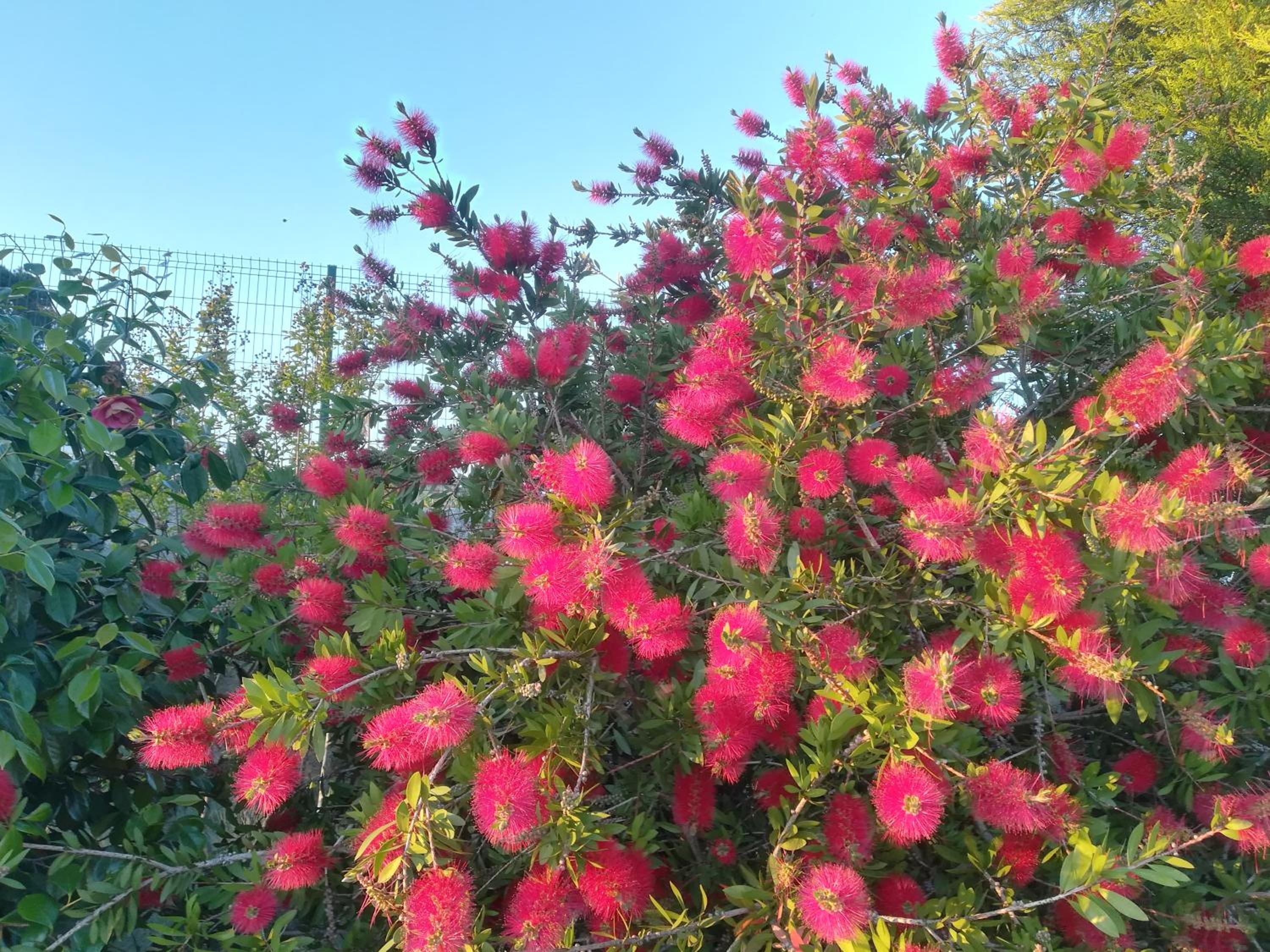 Photo 20