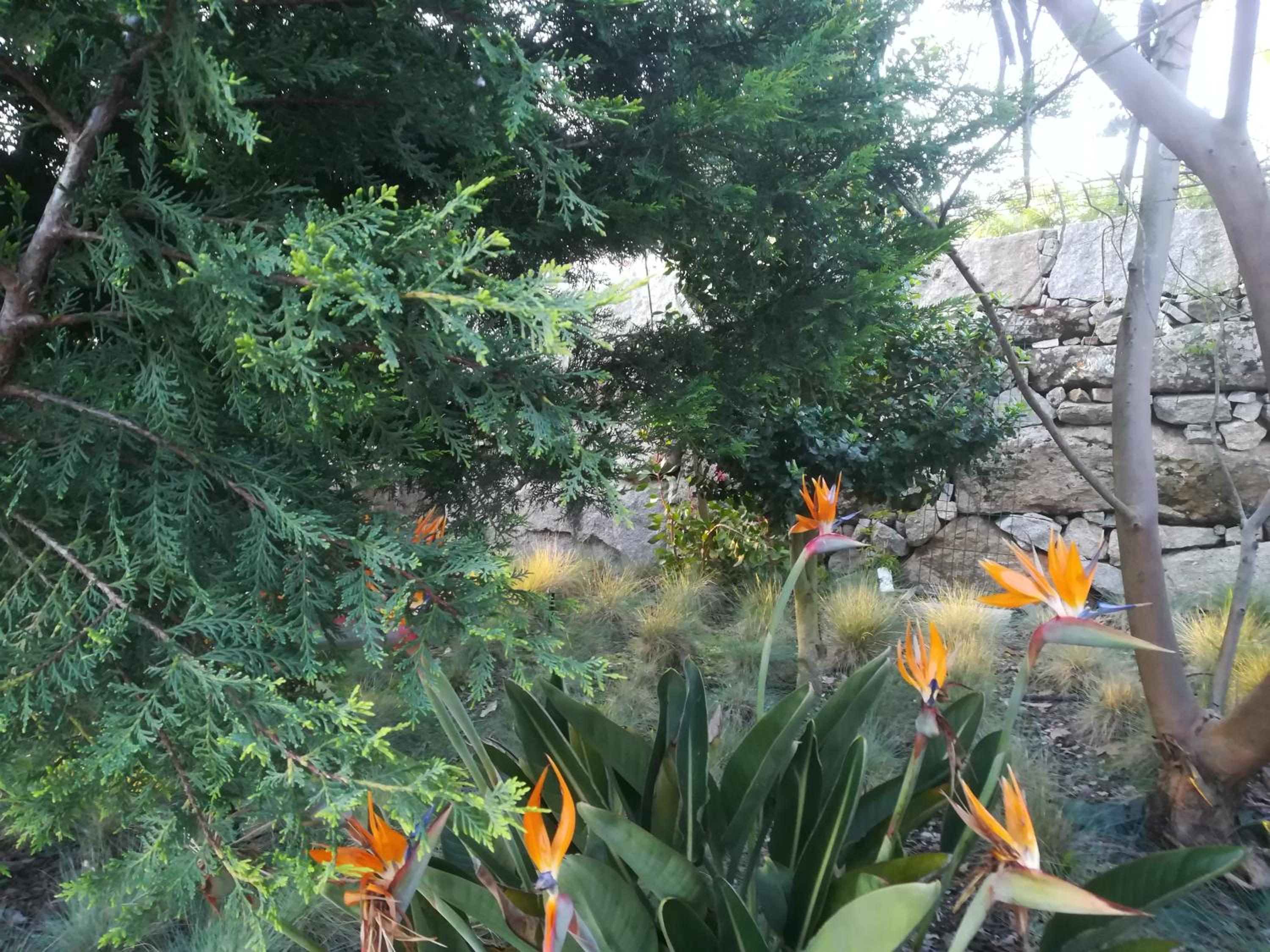 CAMPO DE SOBARBO - Guest House rural, photo 20
