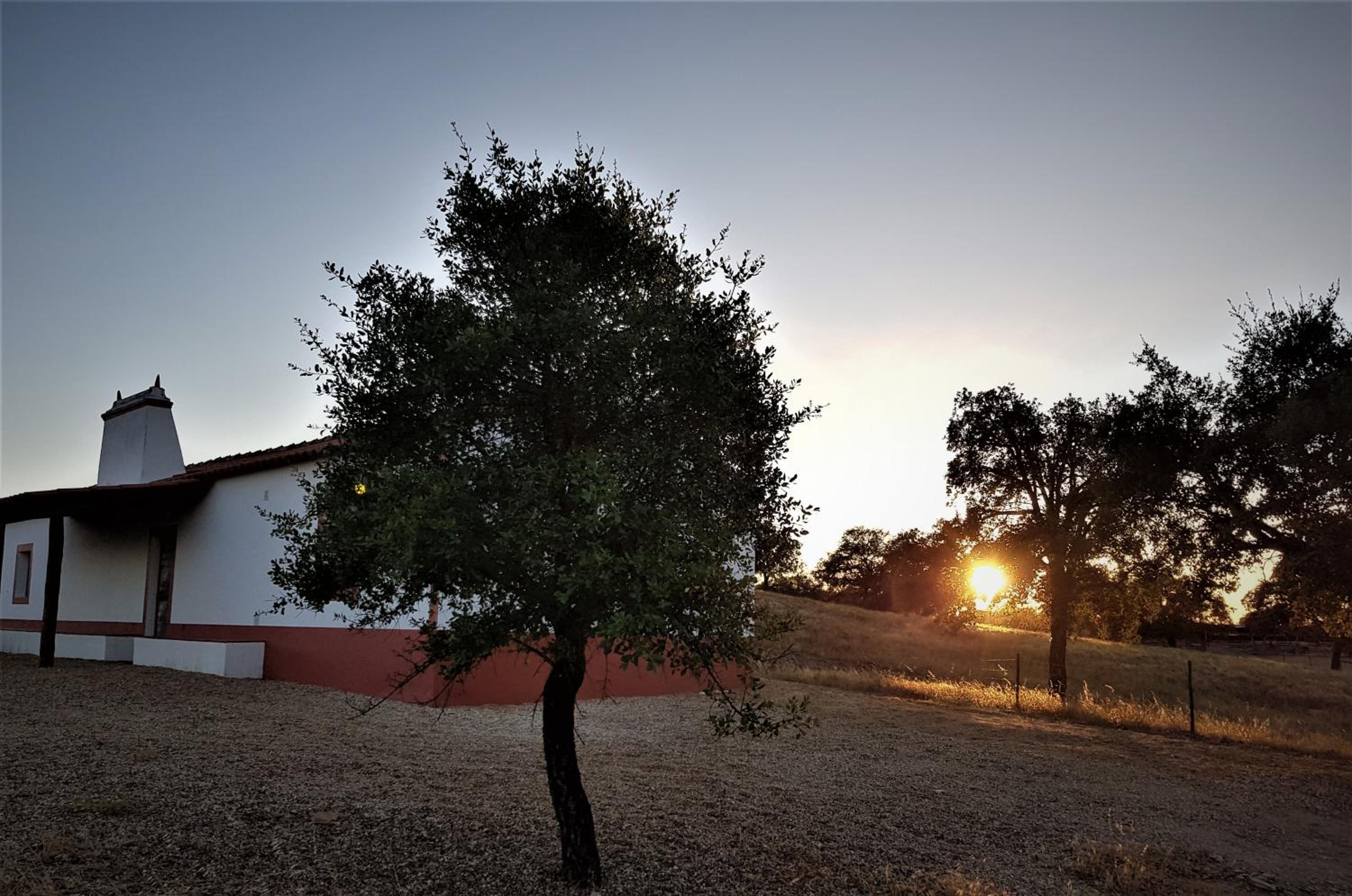 Monte da Clareira - Comporta Carvalhal Melides view 2