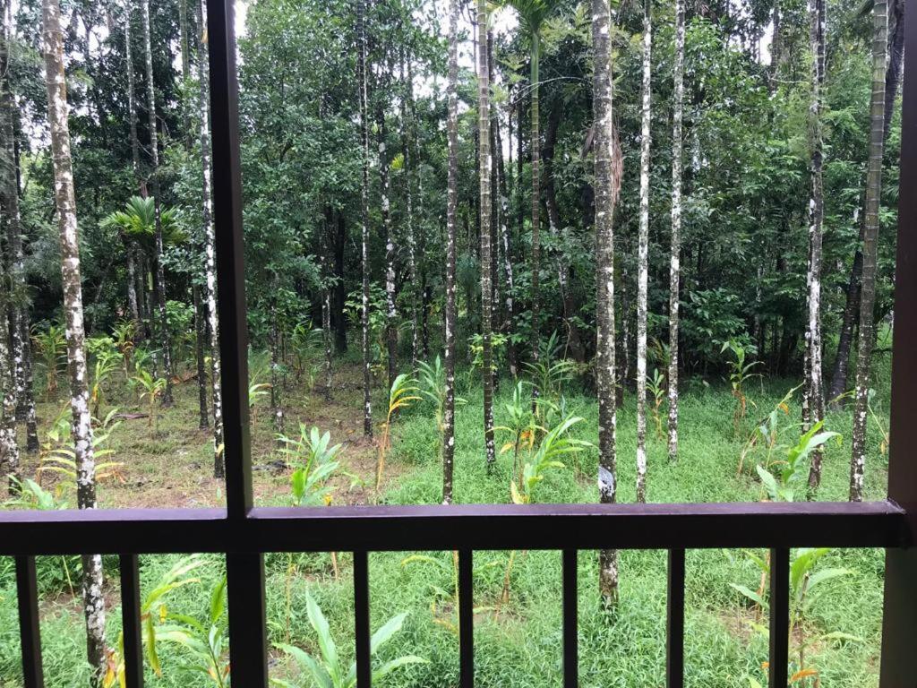 Standard family hut view 4