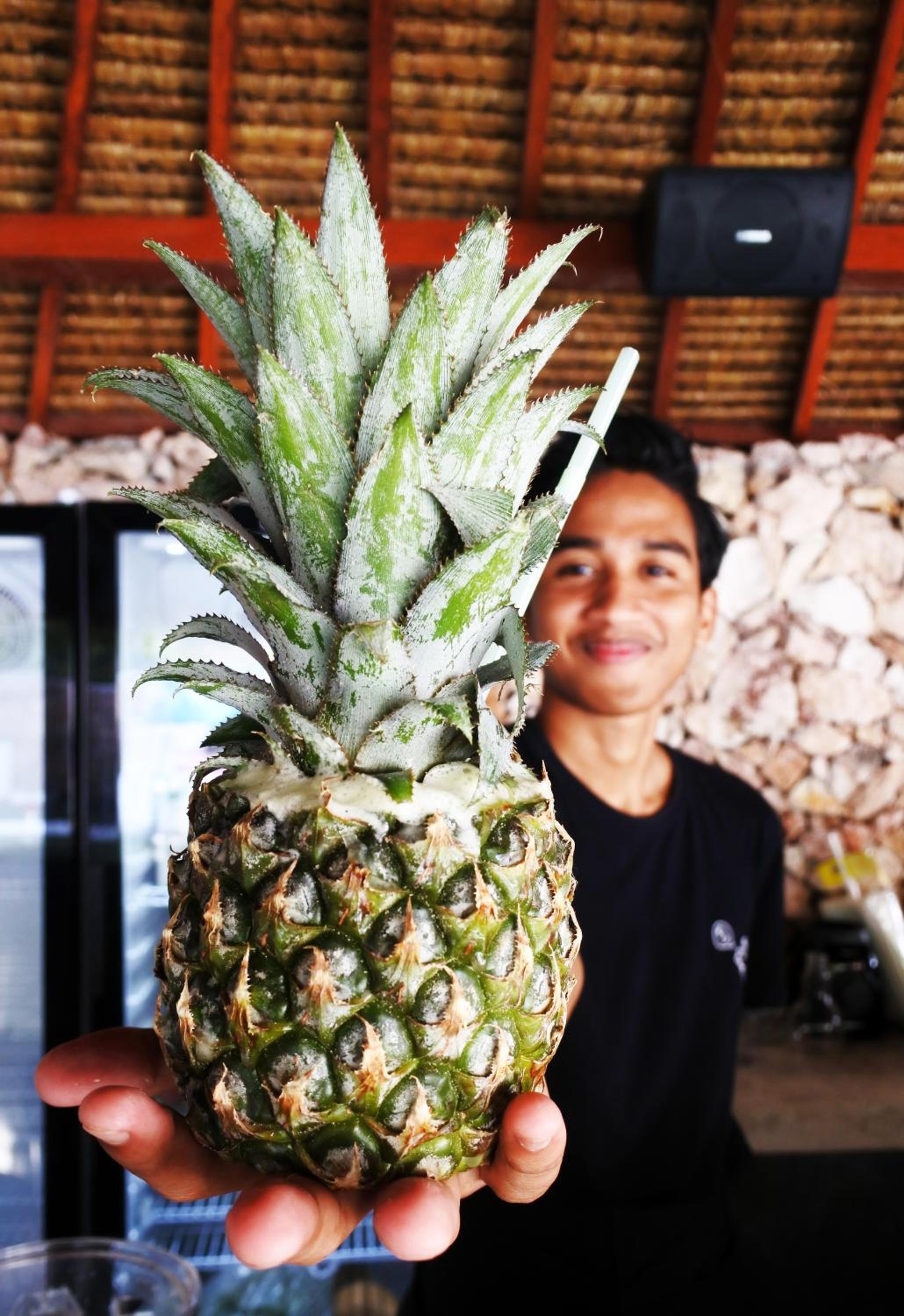 Photo 61