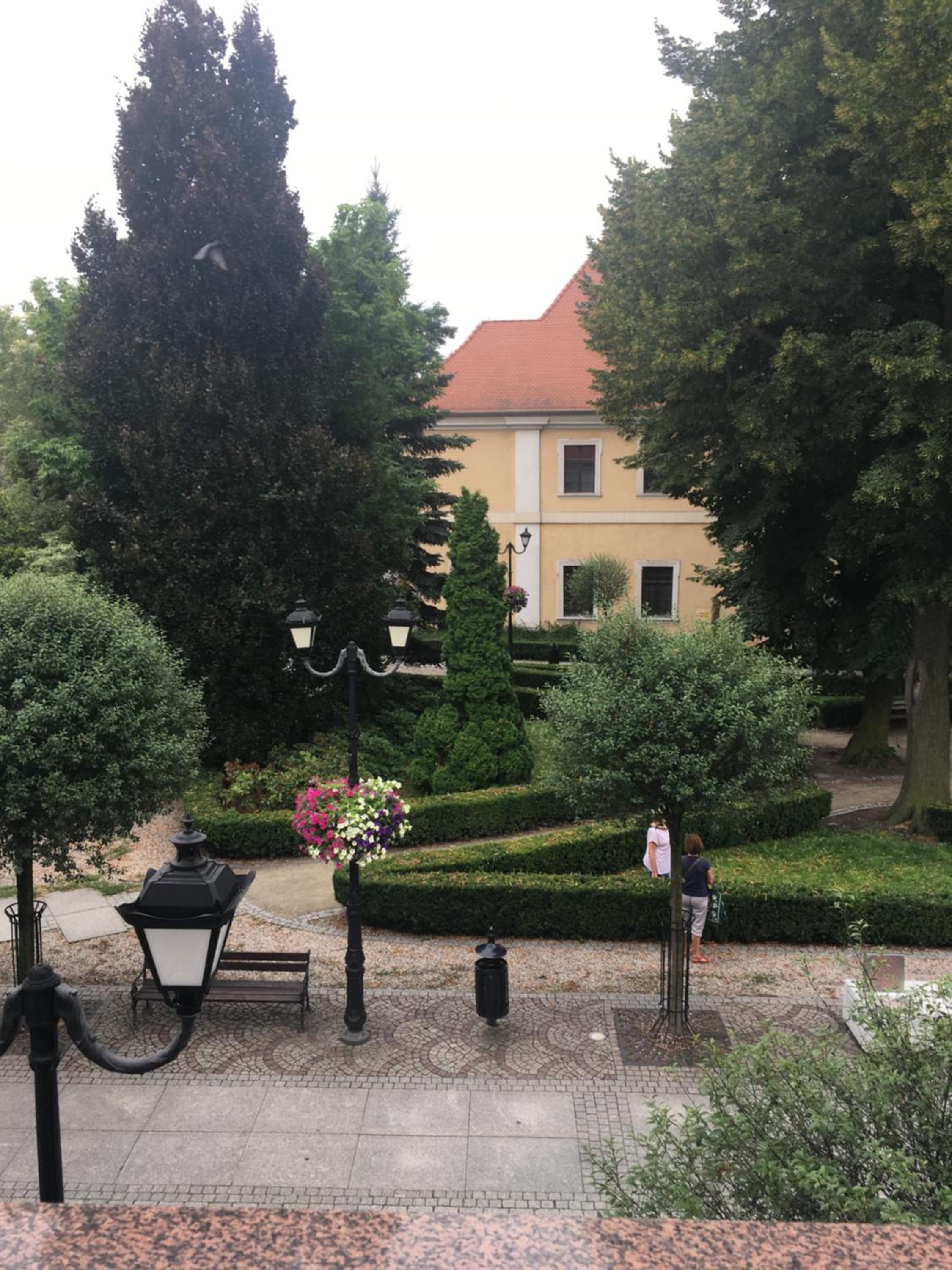 Photo 37