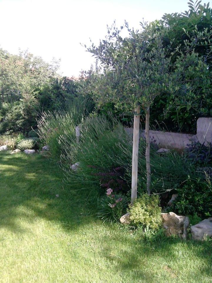 Apartman Antonia