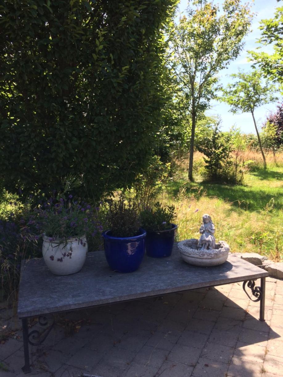 B&B La ferme du doux