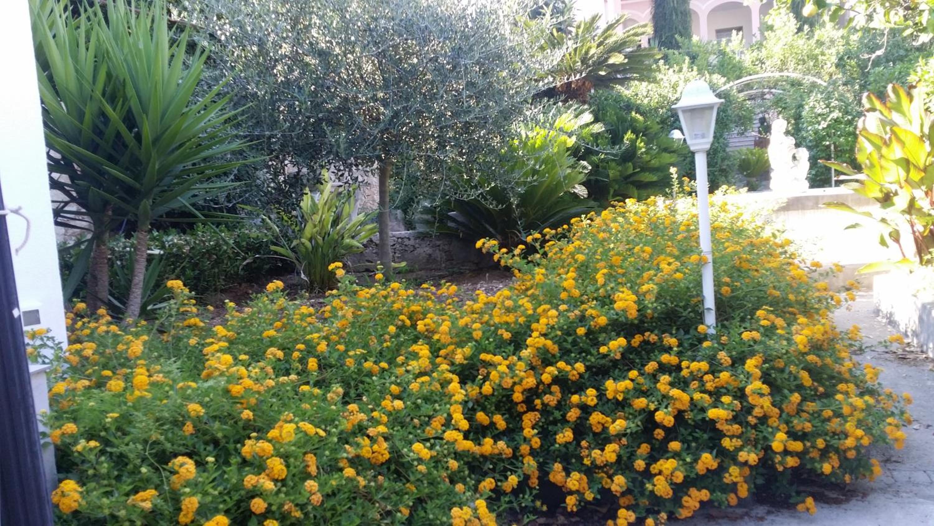 Casa Vacanza la Fiaba photo 2