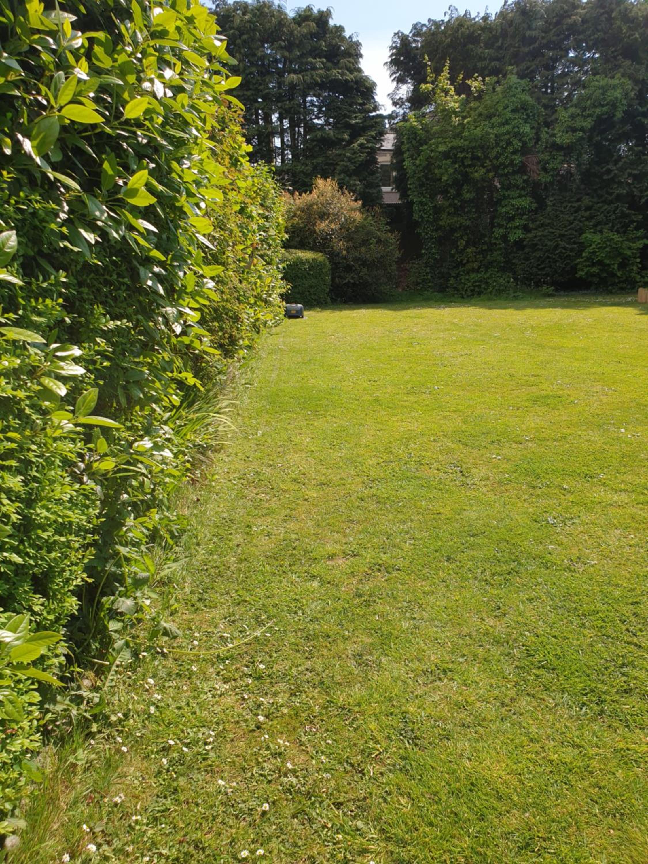 Photo 25