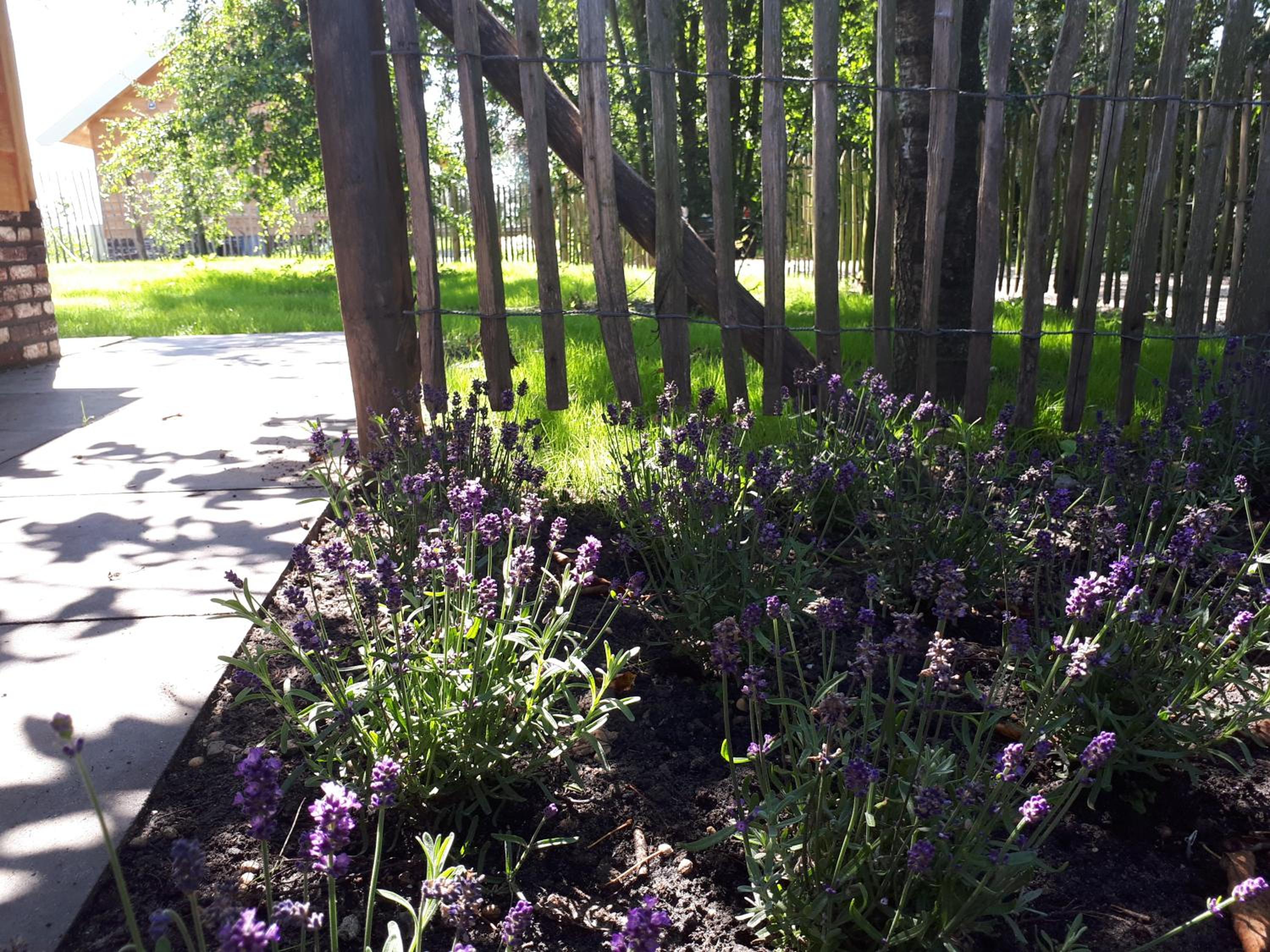 Lodges near the Rhine - Sustainable Residence, photo 59