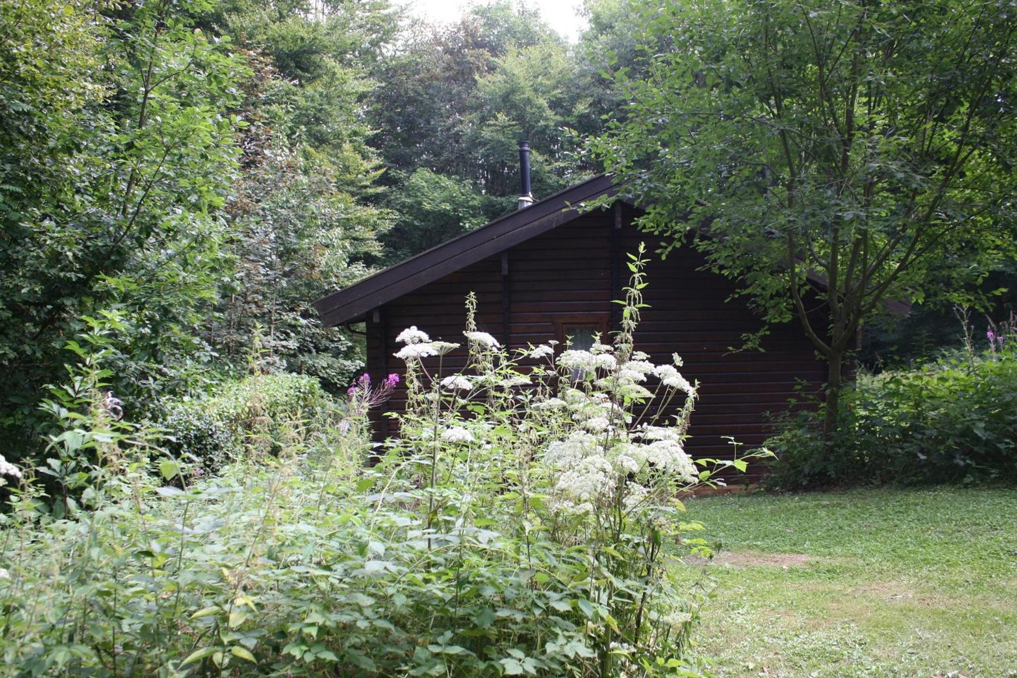 Bungalow; Haus 111 Ferienpark Twistesee, Bad Arolsen