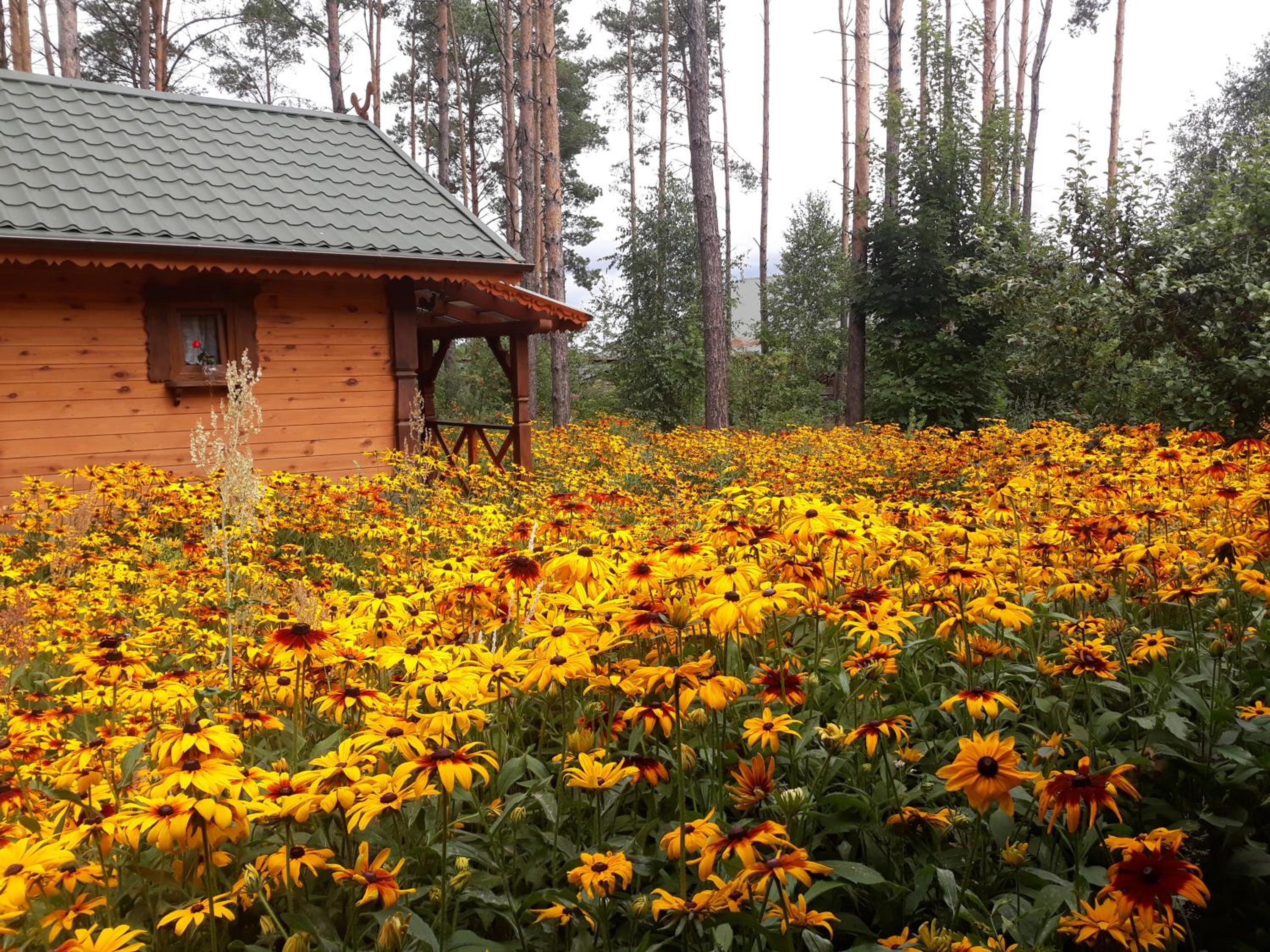 Sosenka view 5